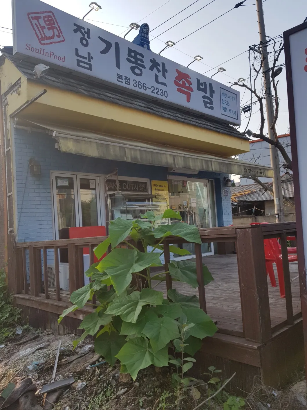 대표 사진 2
