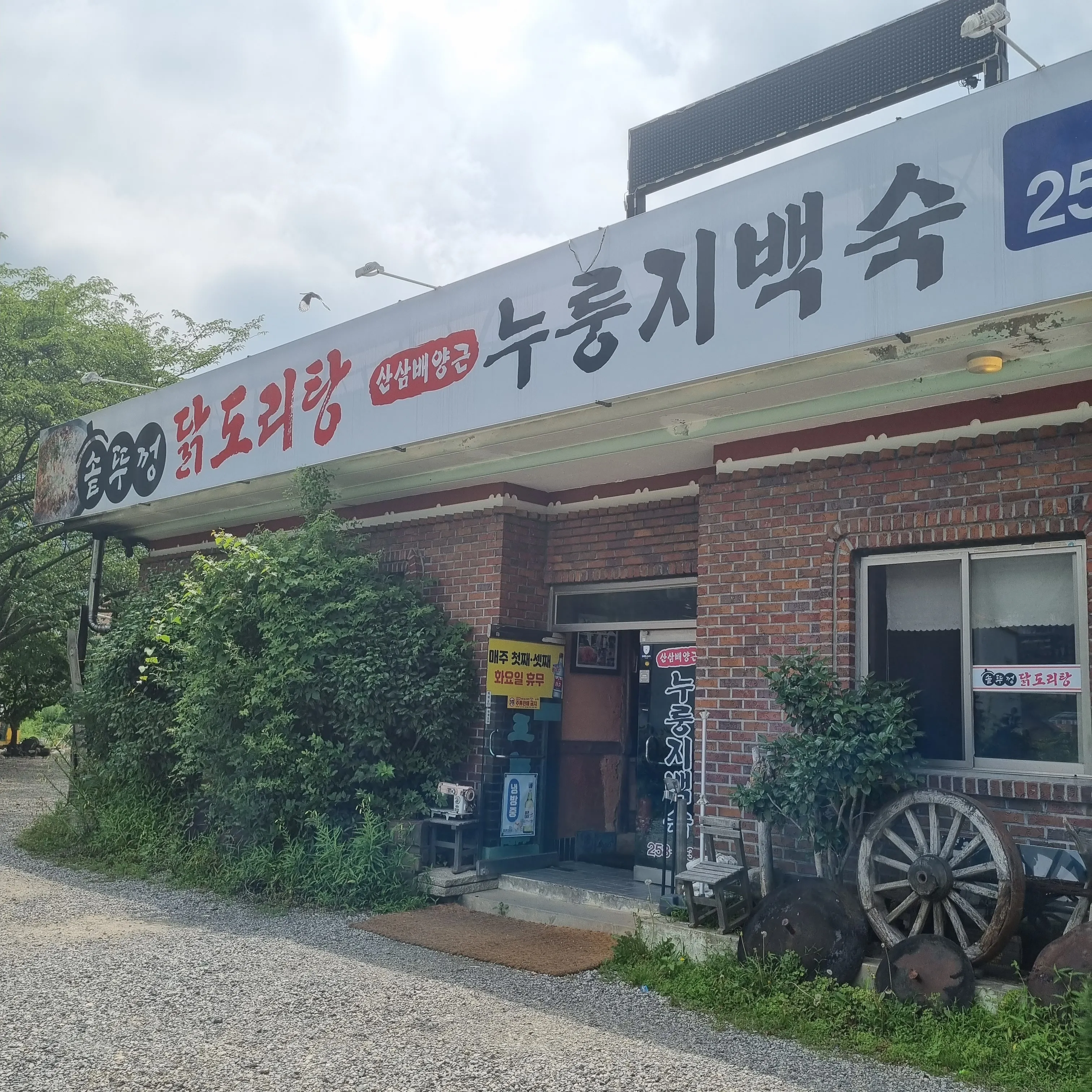 대표 사진 2