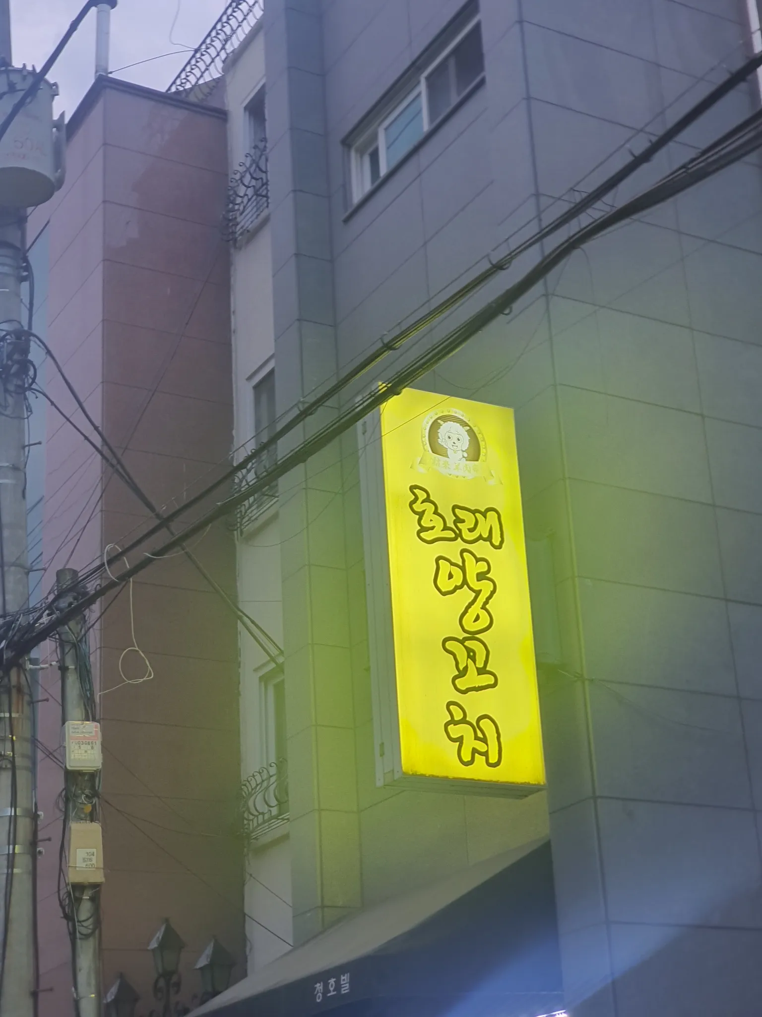 대표 사진 0