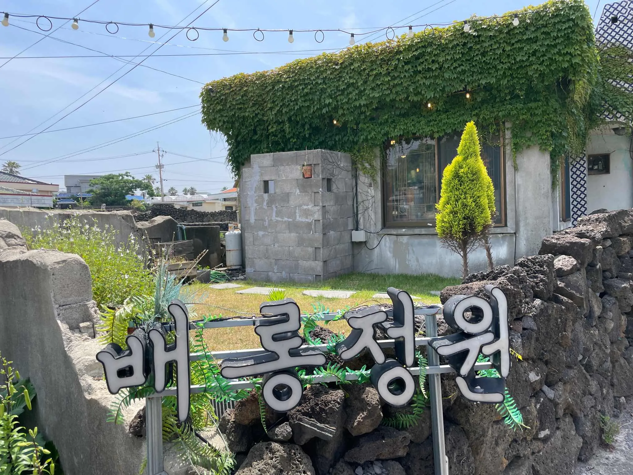 대표 사진 2