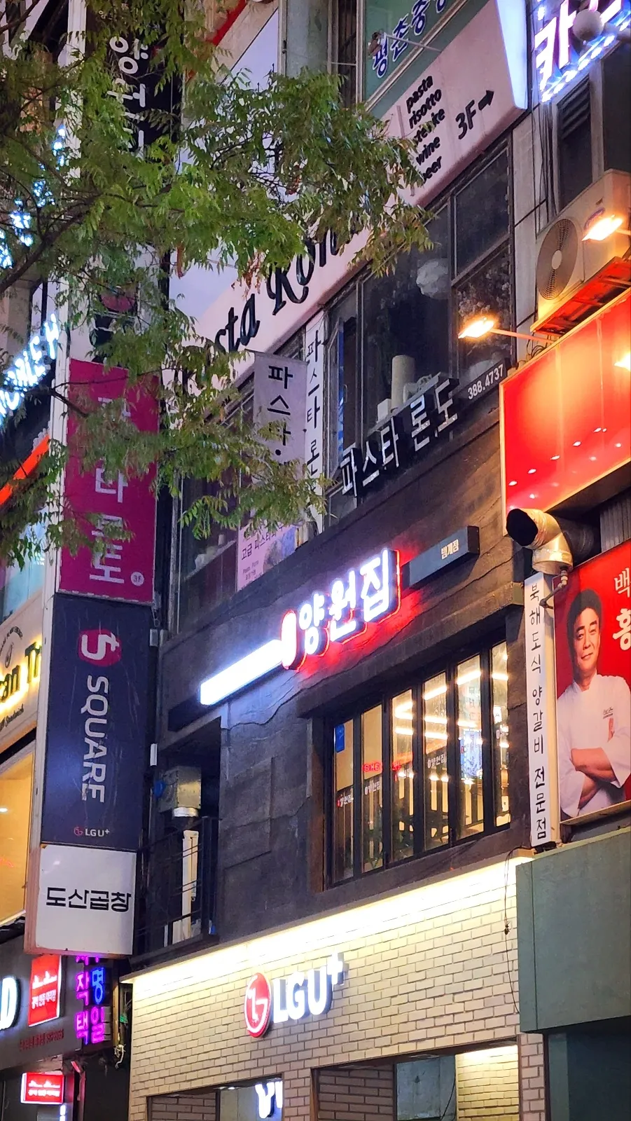 대표 사진 1