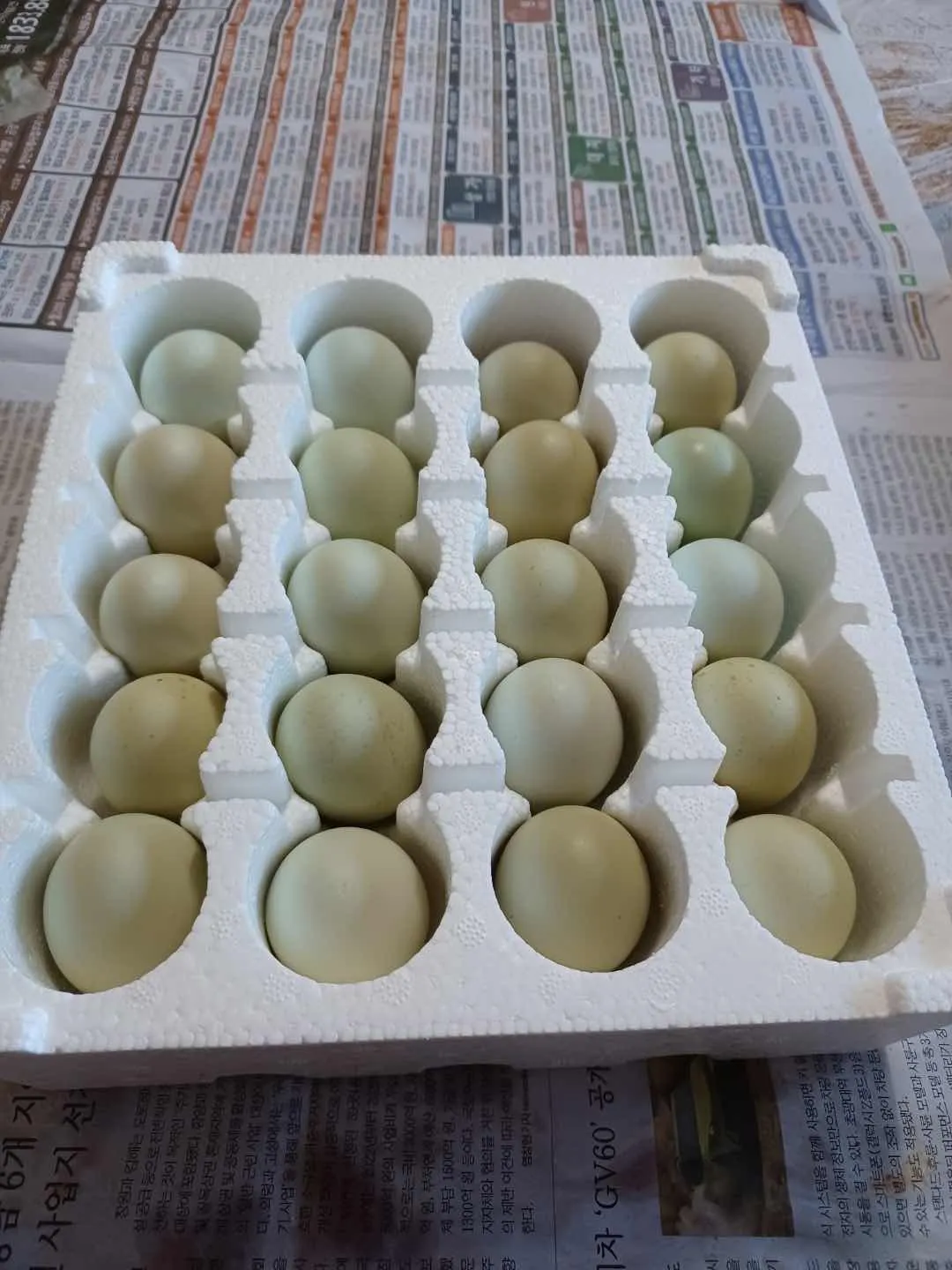 대표 사진 2