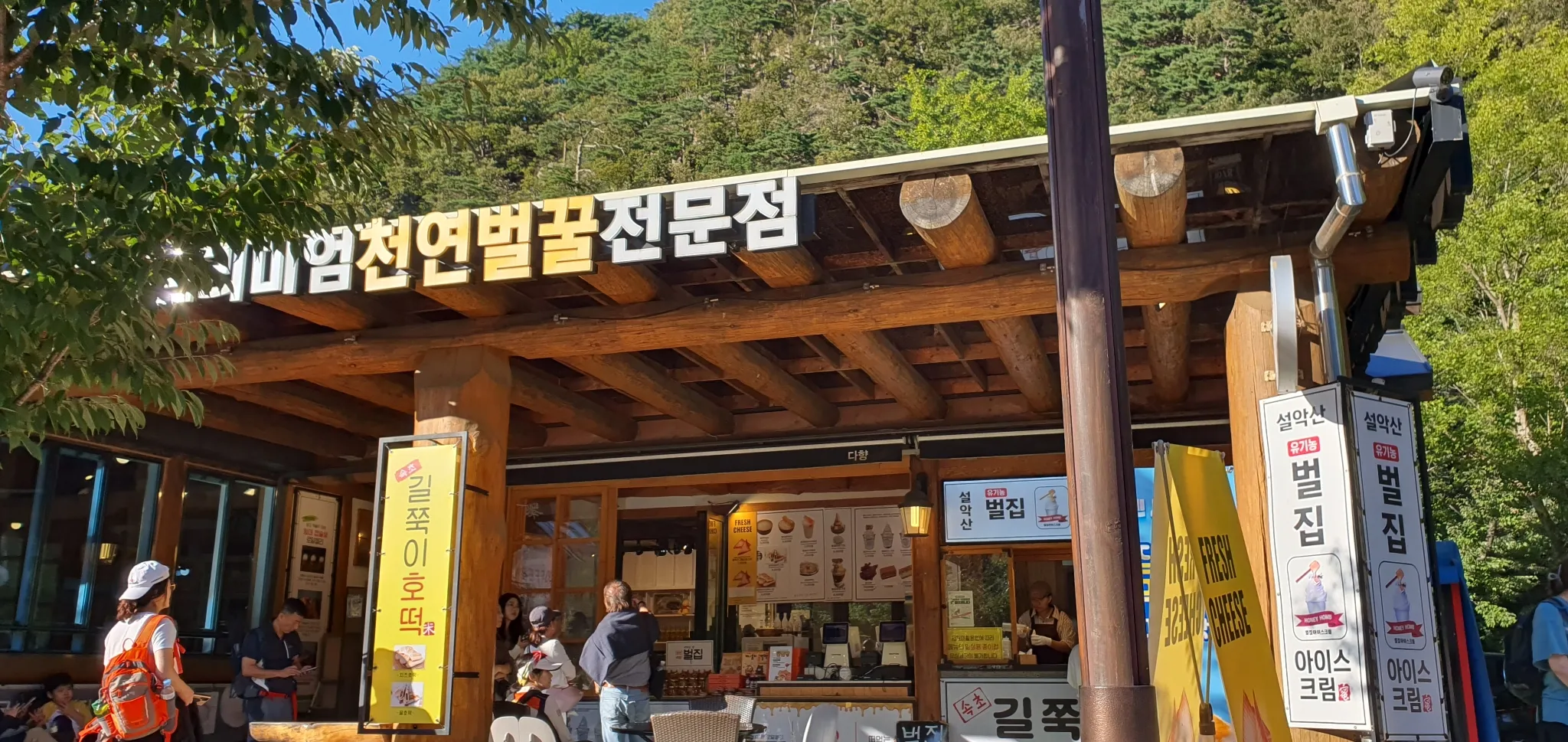 대표 사진 1