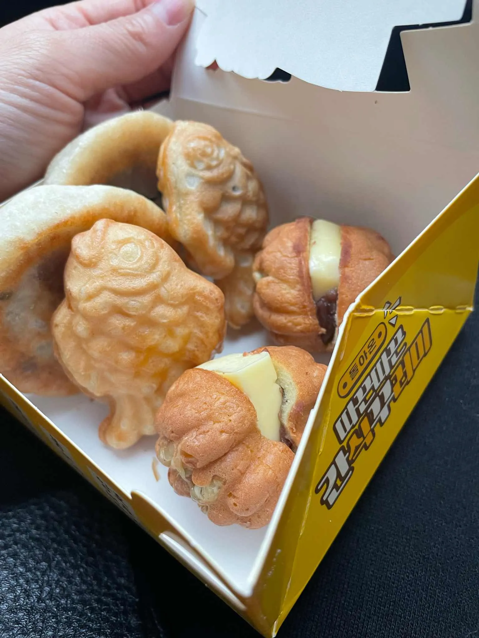 대표 사진 1
