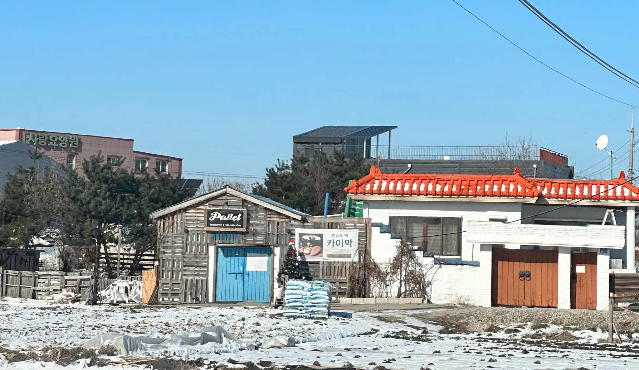 대표 사진 2