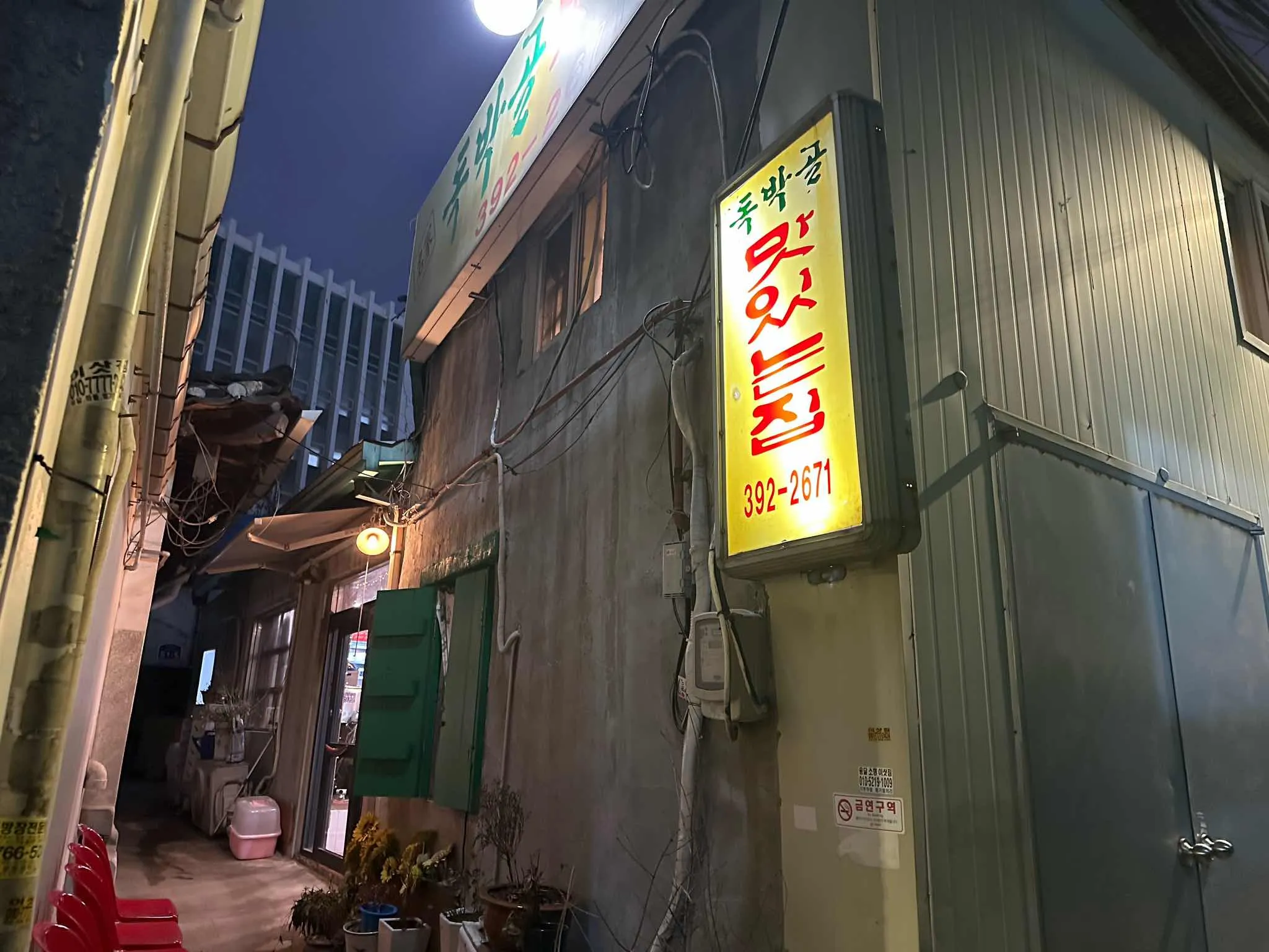 대표 사진 1