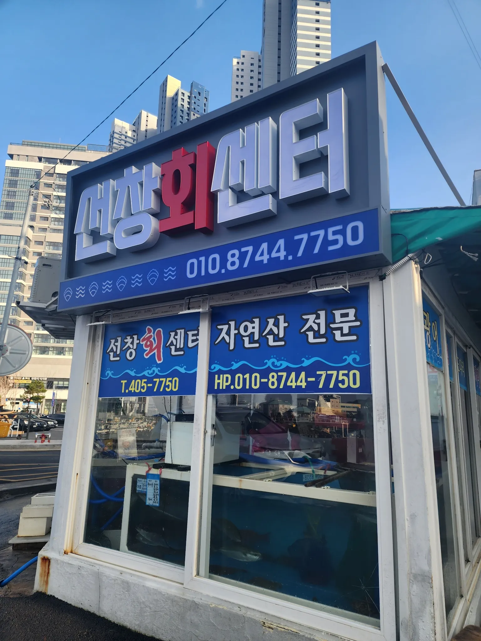대표 사진 2