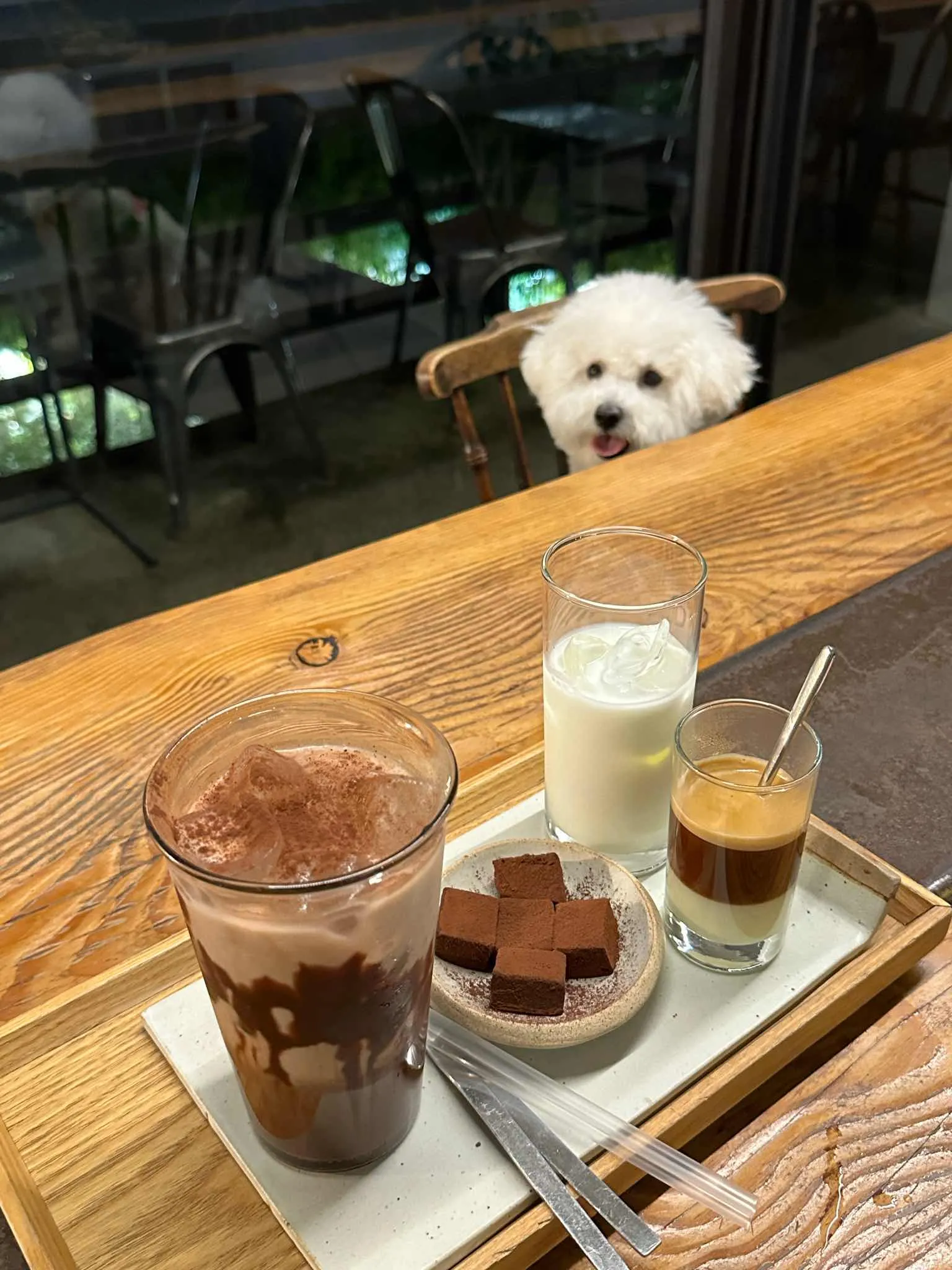 대표 사진 2