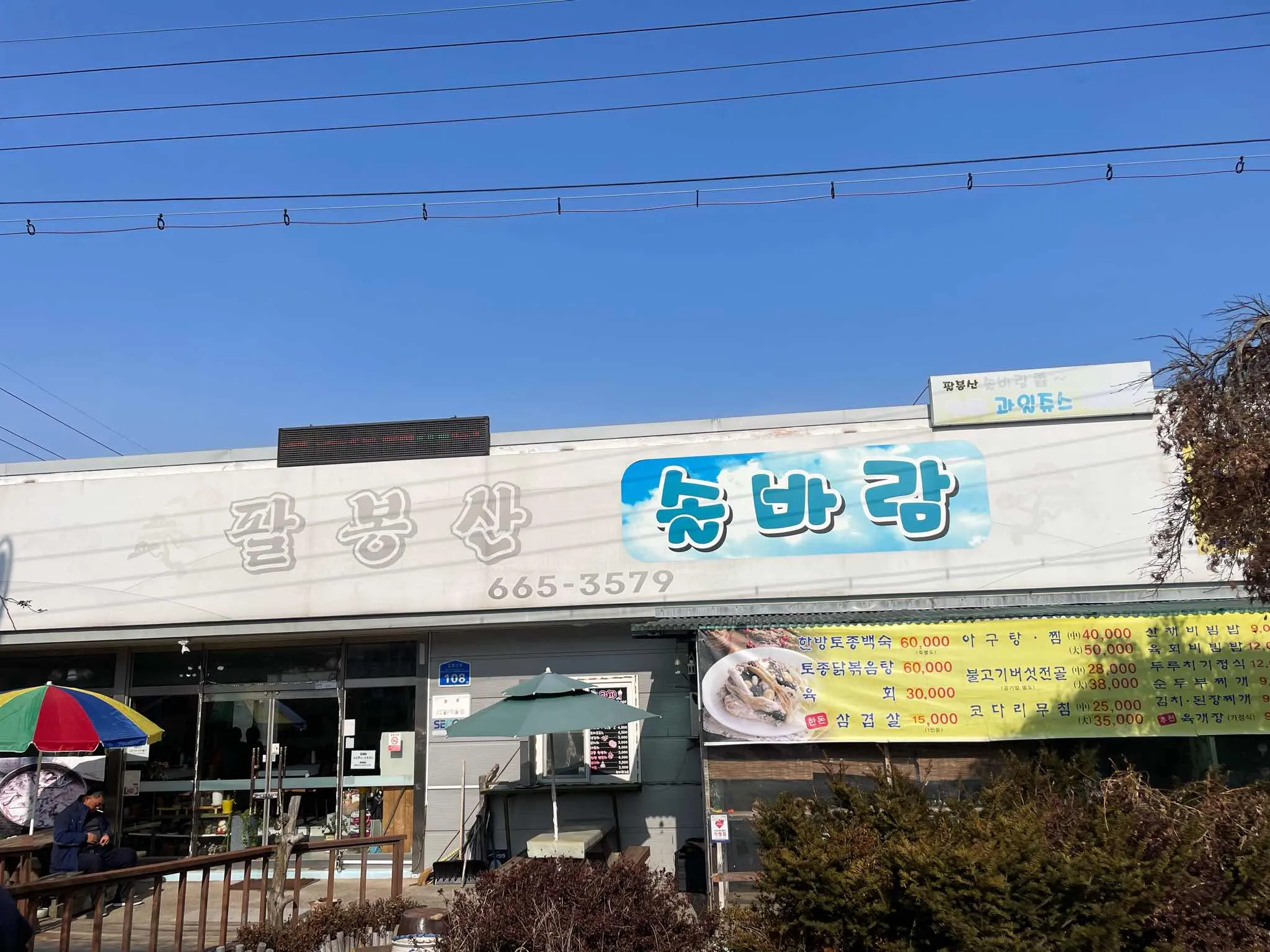 대표 사진 1