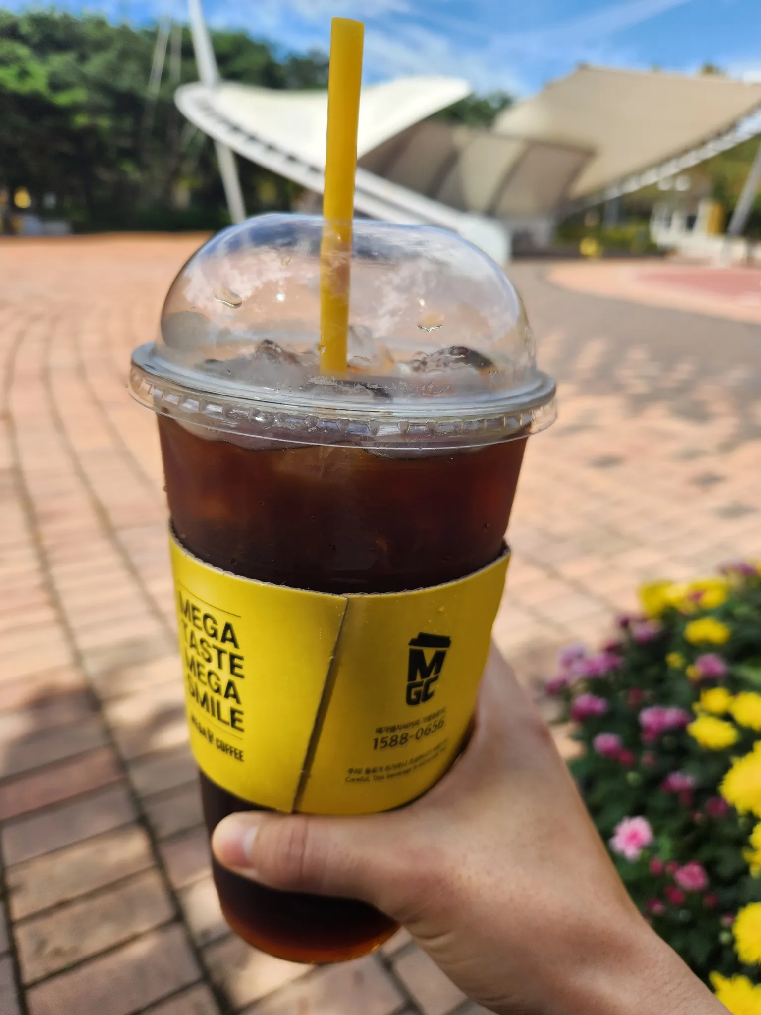 대표 사진 0