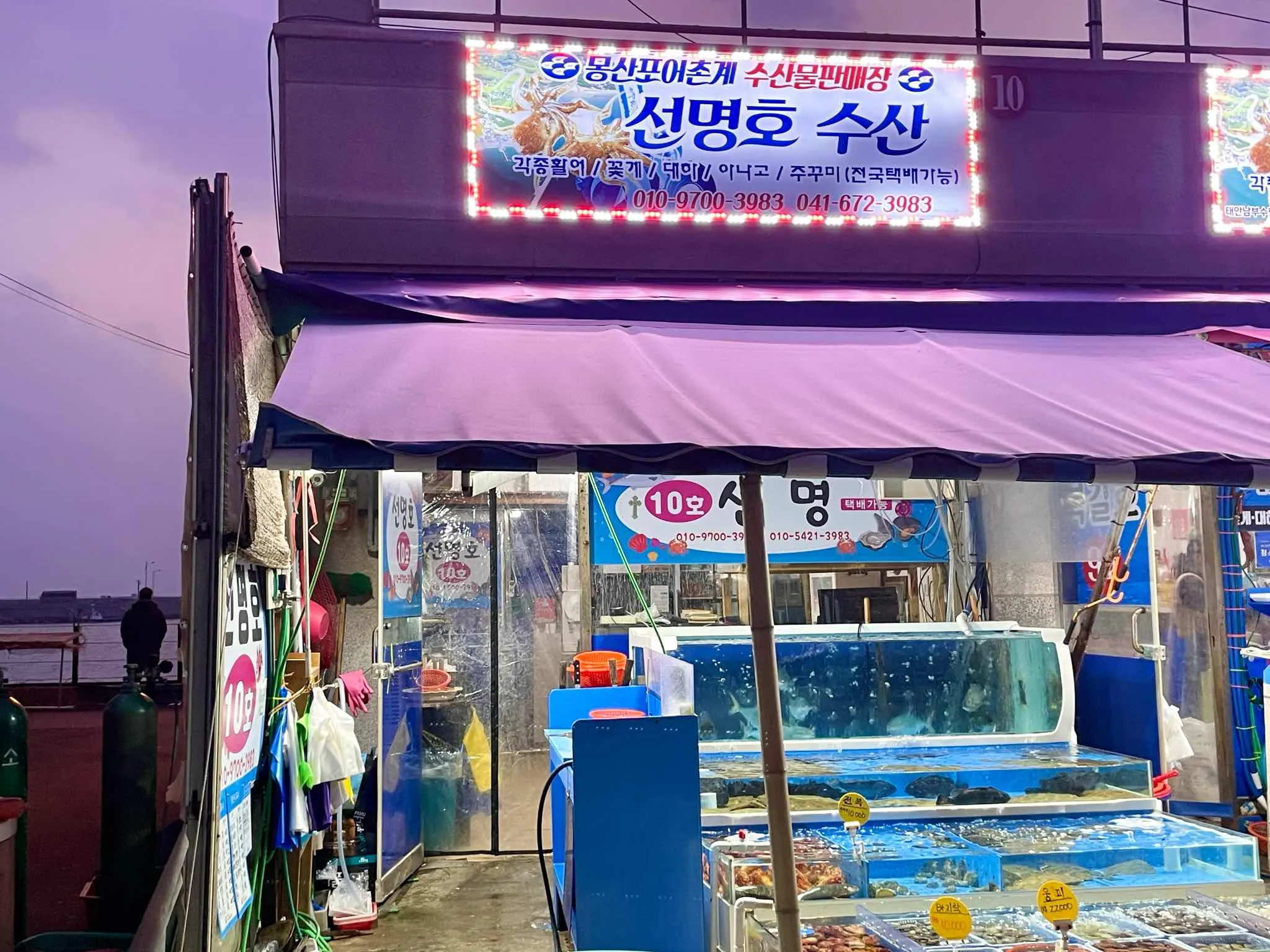 대표 사진 0