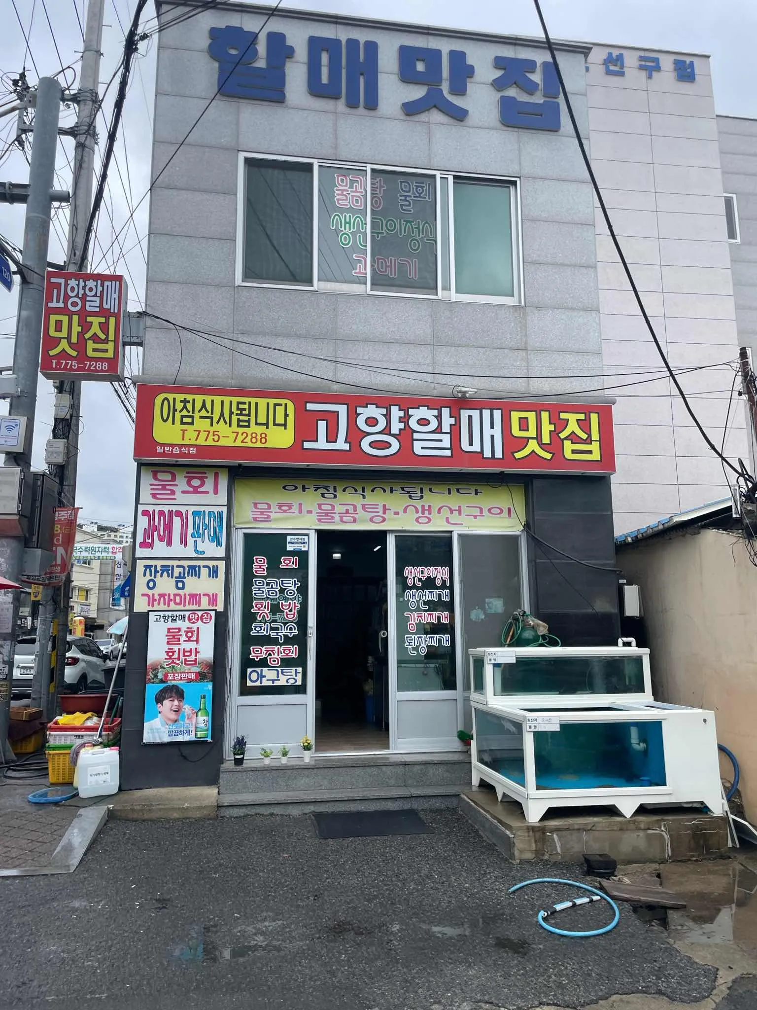 대표 사진 1