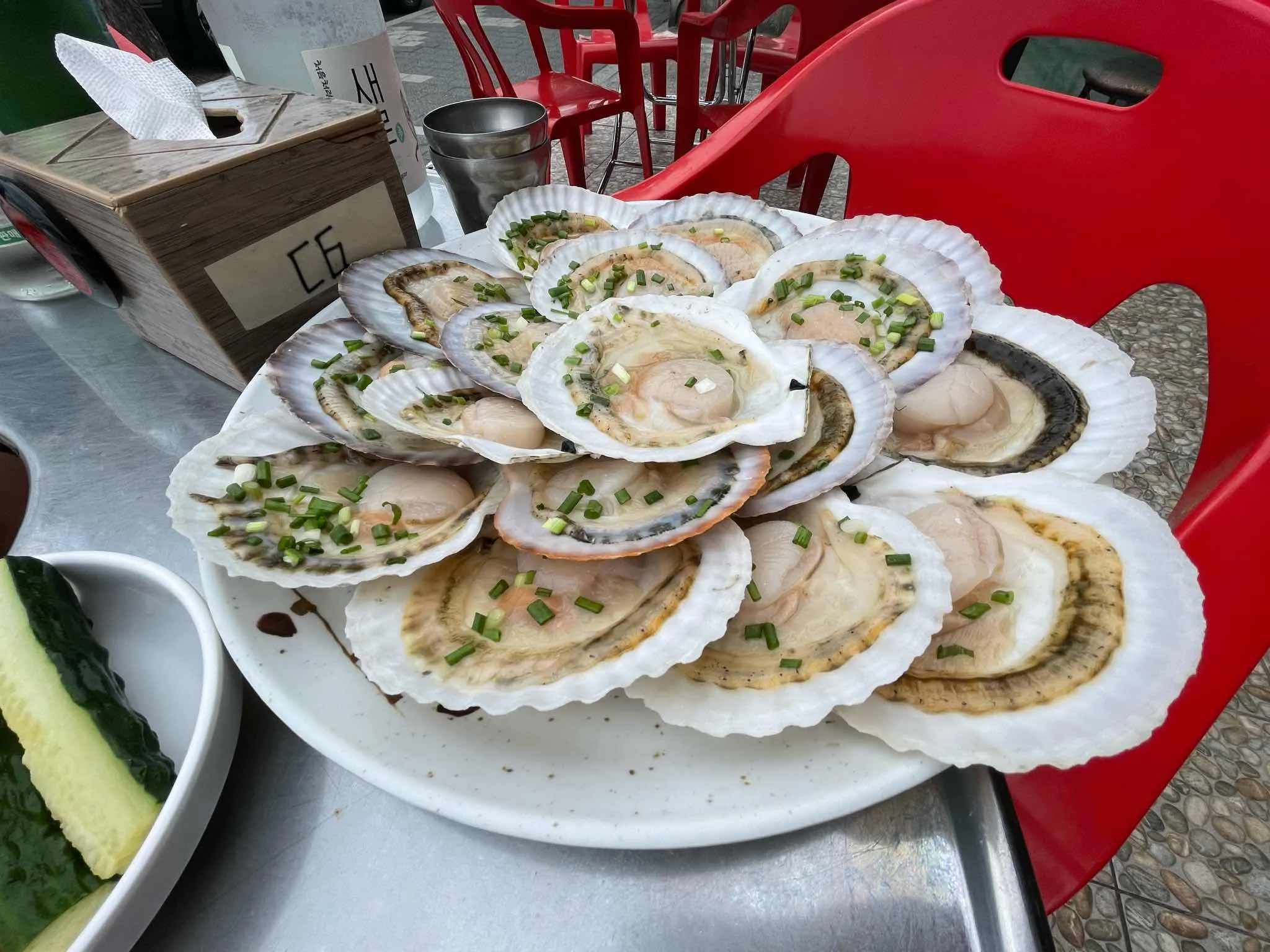 대표 사진 0