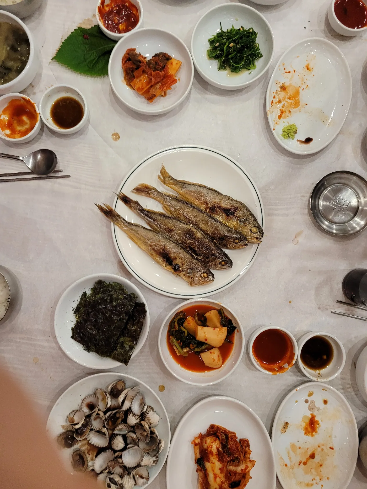 대표 사진 0