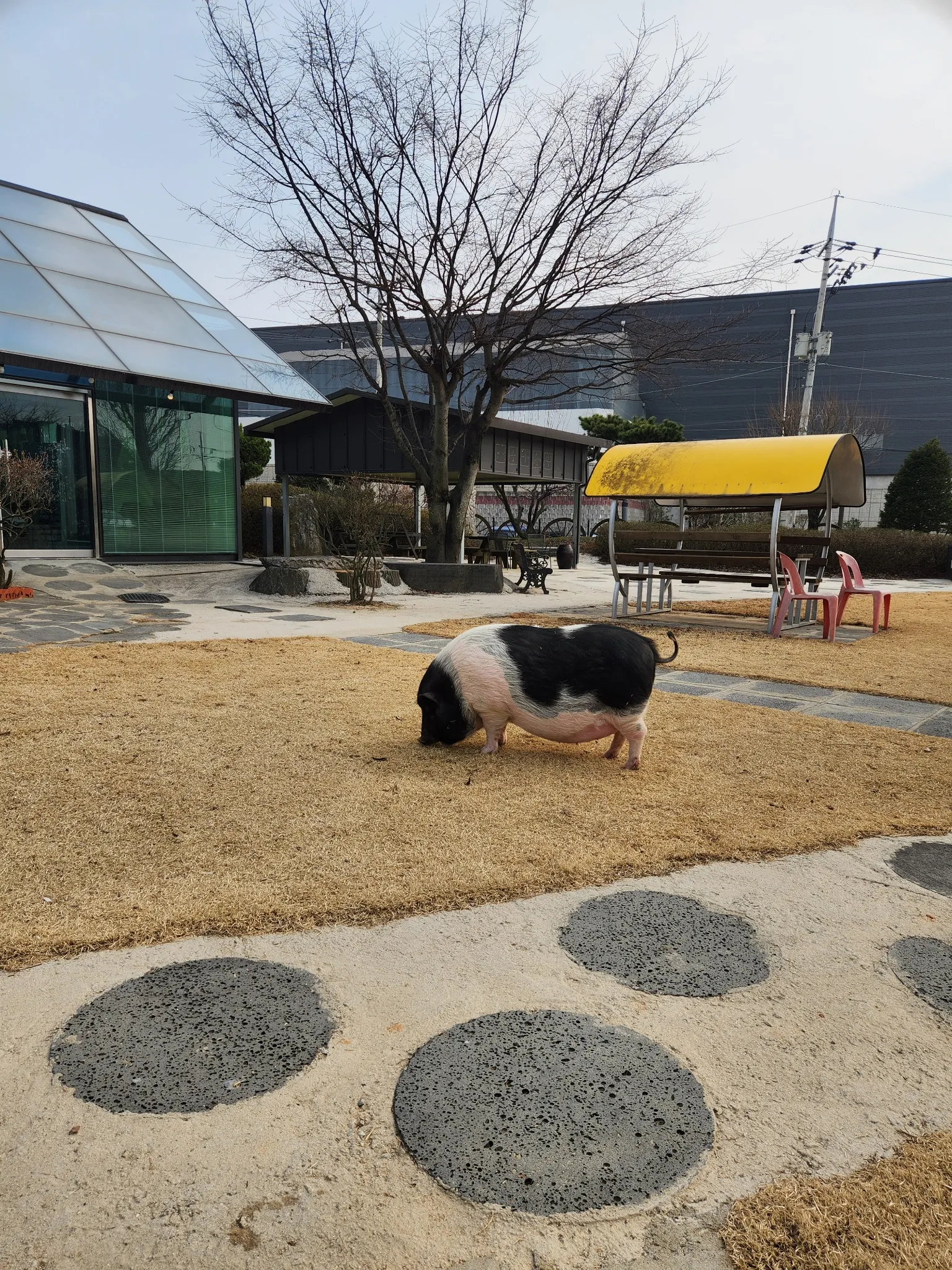 대표 사진 1