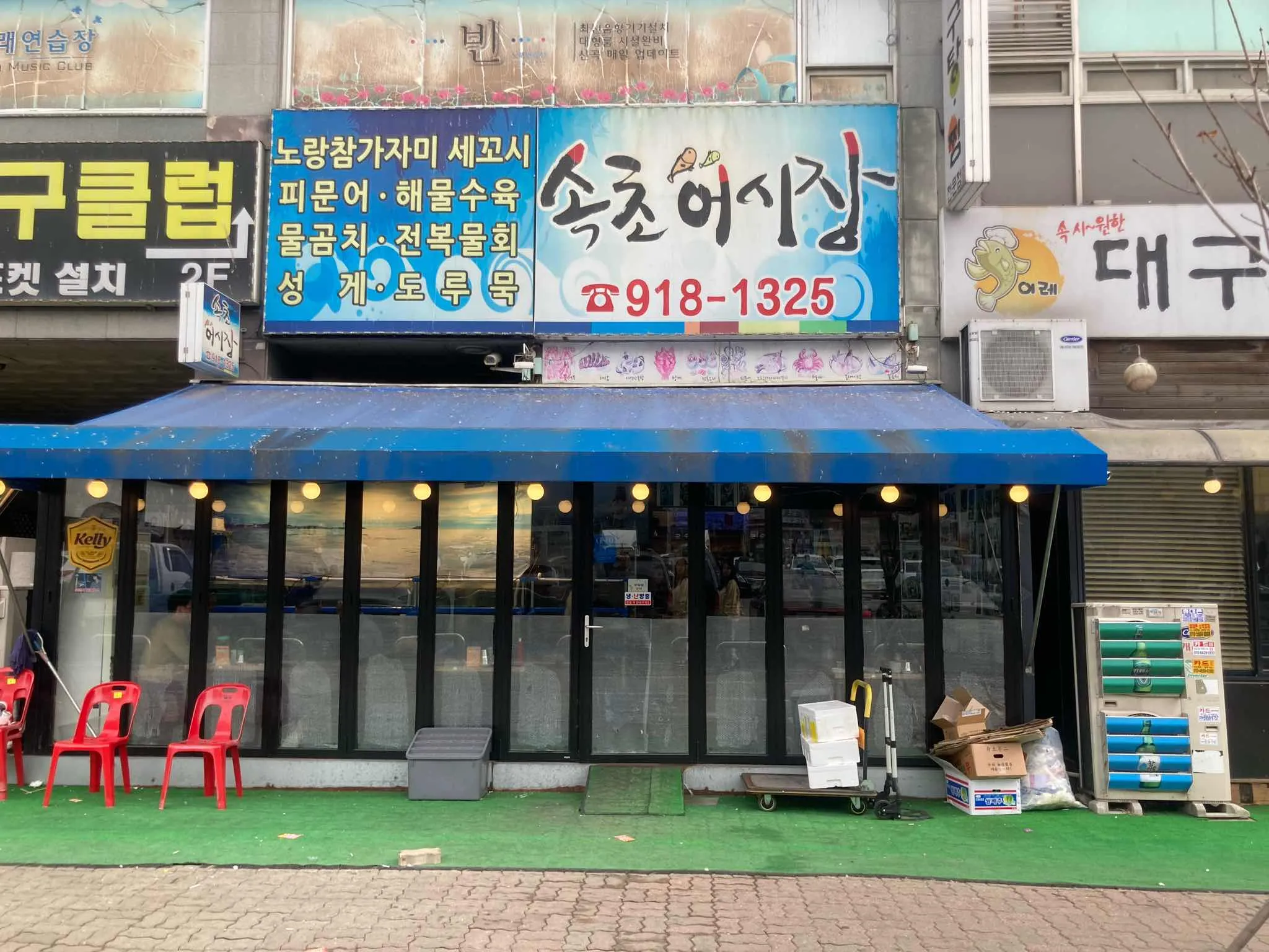 대표 사진 0