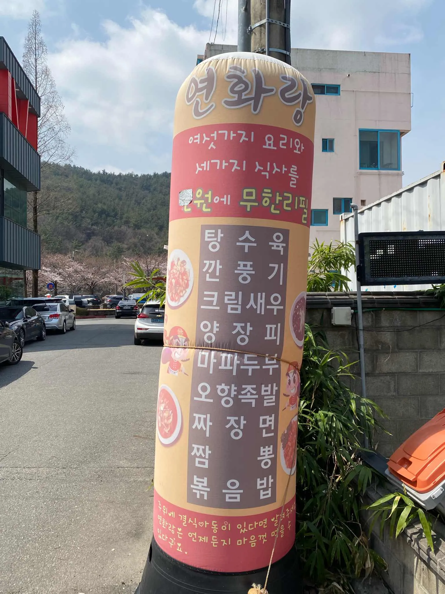 대표 사진 3