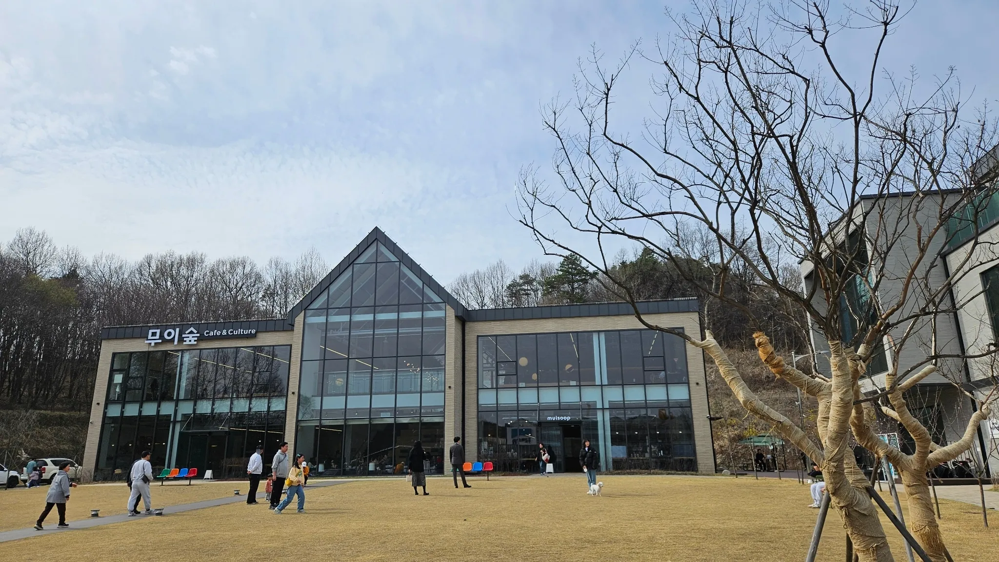 대표 사진 2