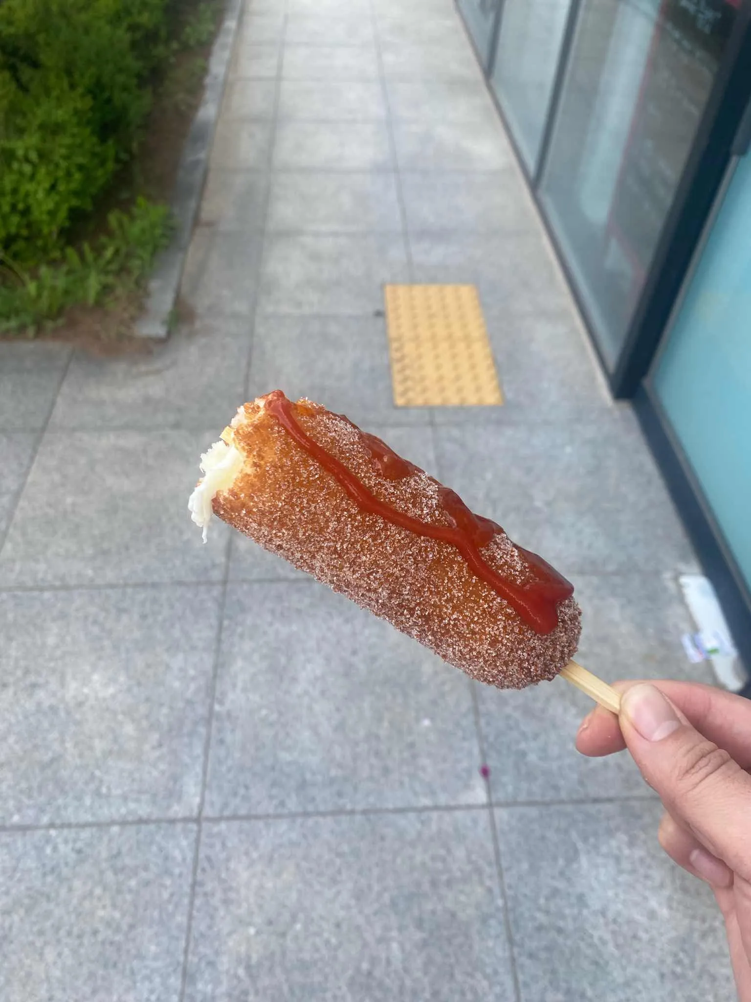 대표 사진 1