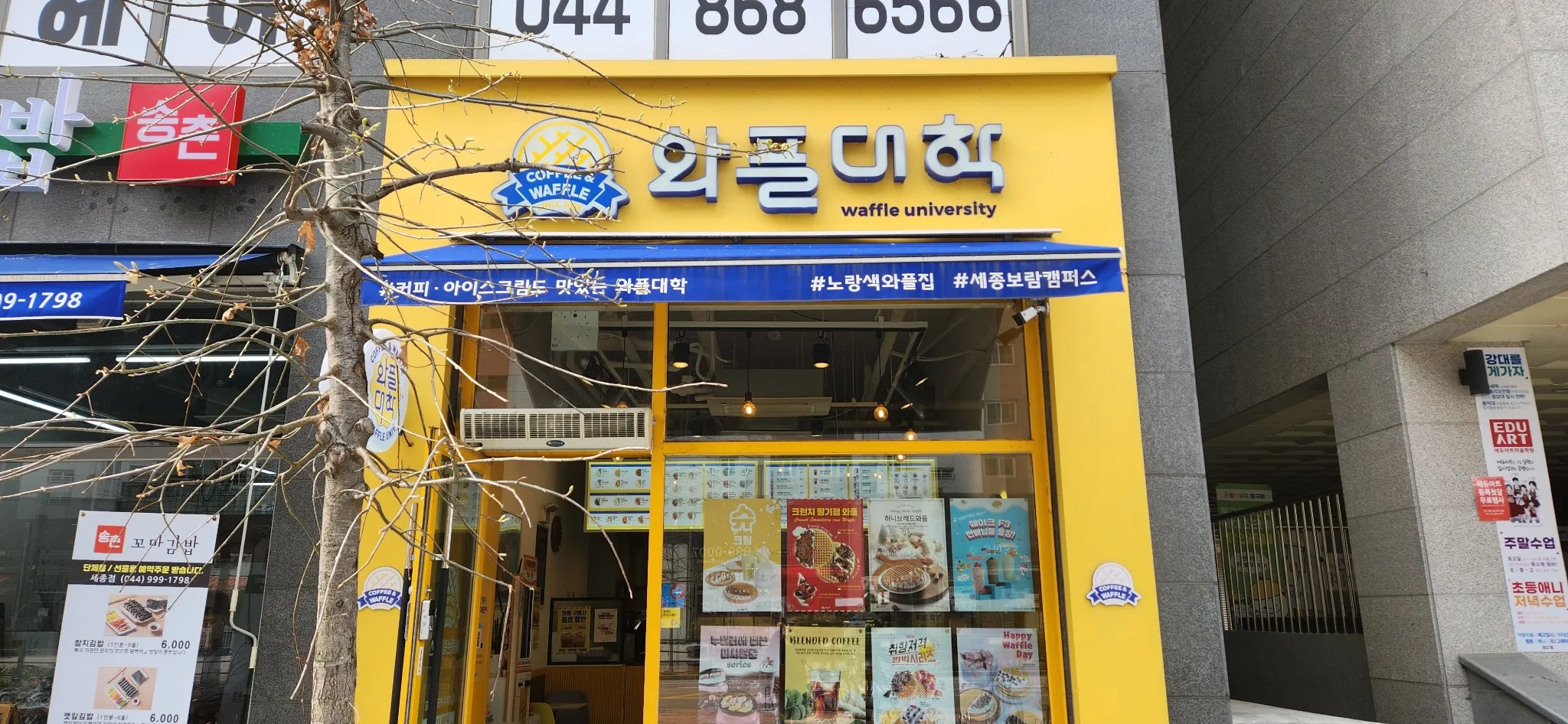 대표 사진 2