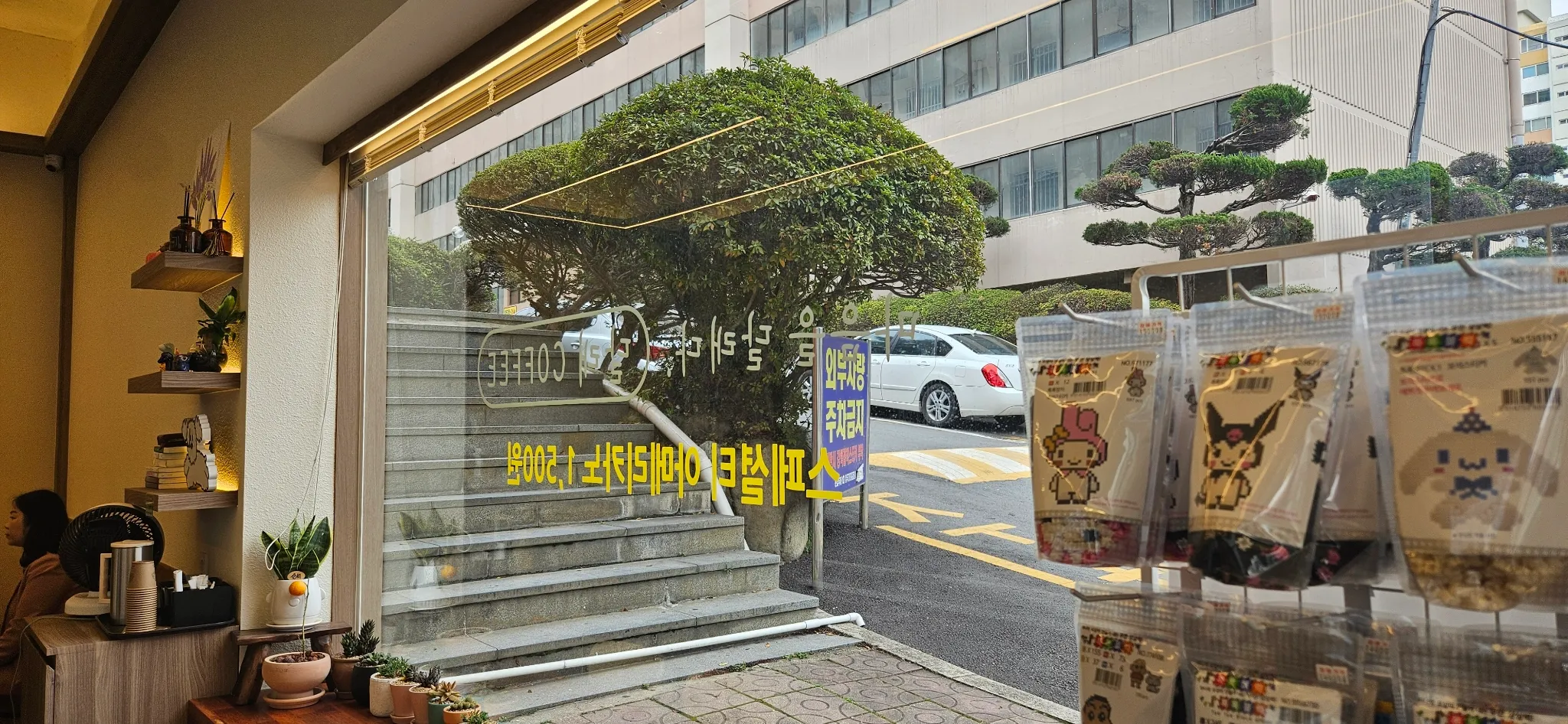 대표 사진 2