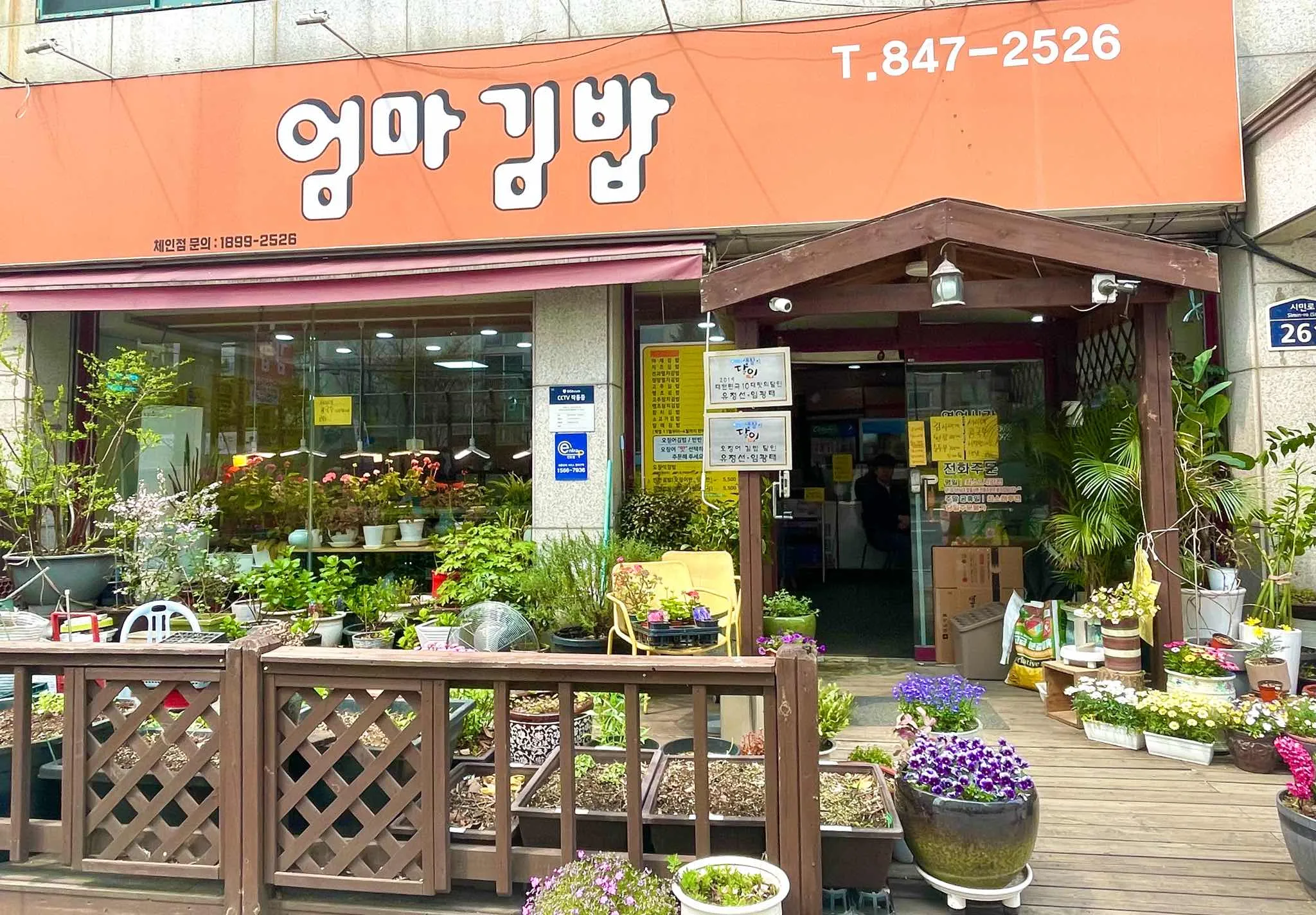 대표 사진 2