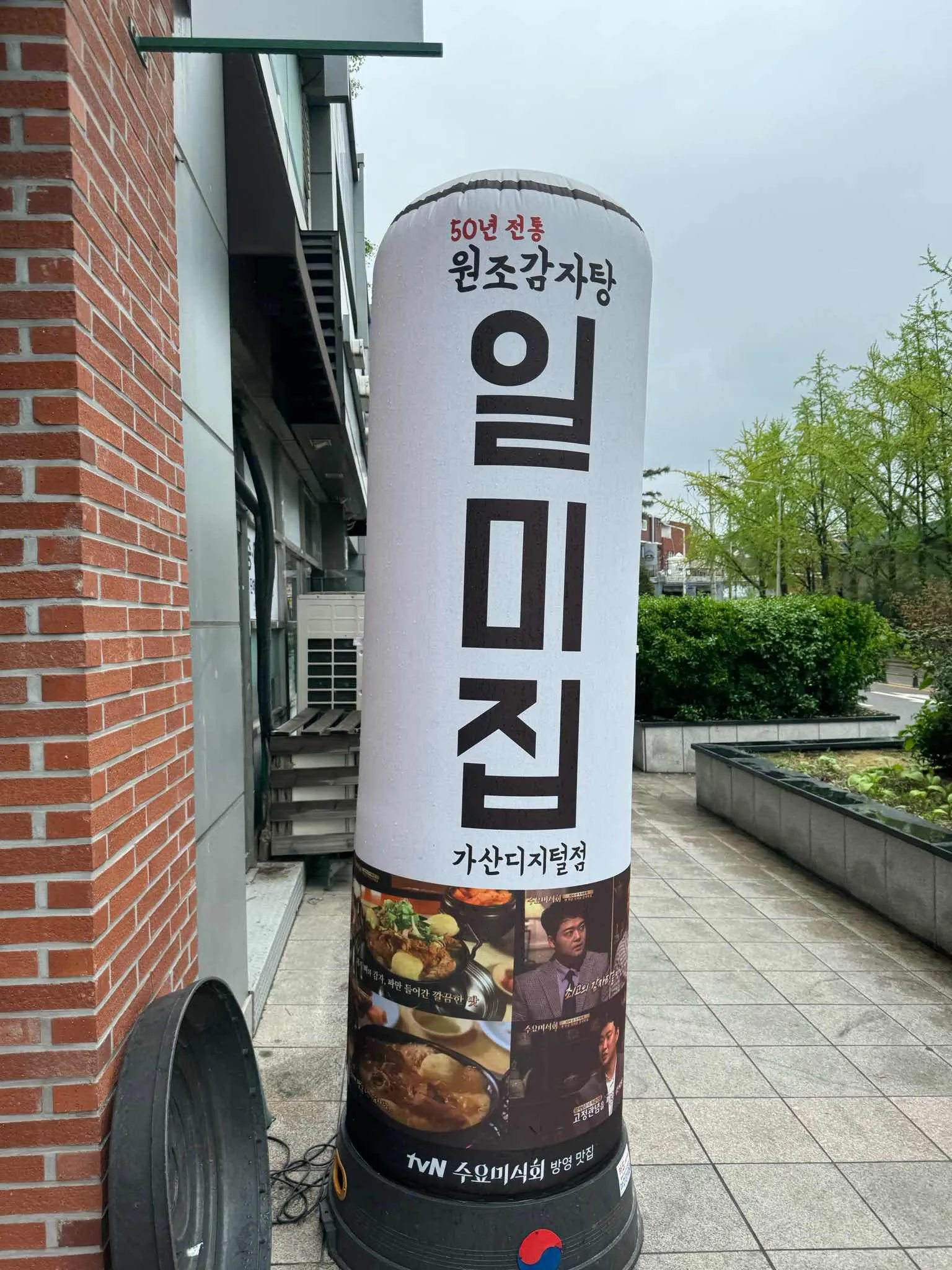 대표 사진 1