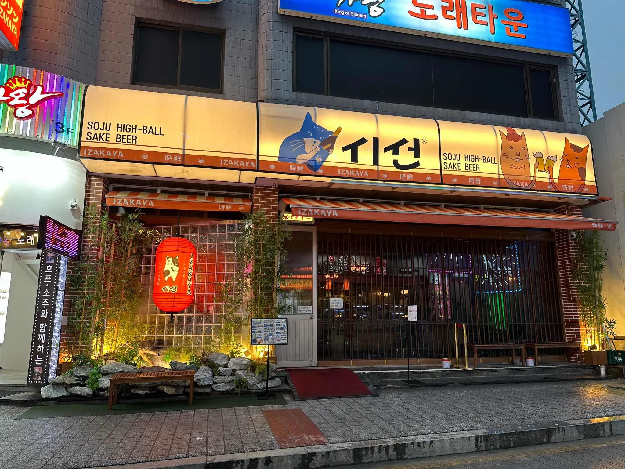대표 사진 2