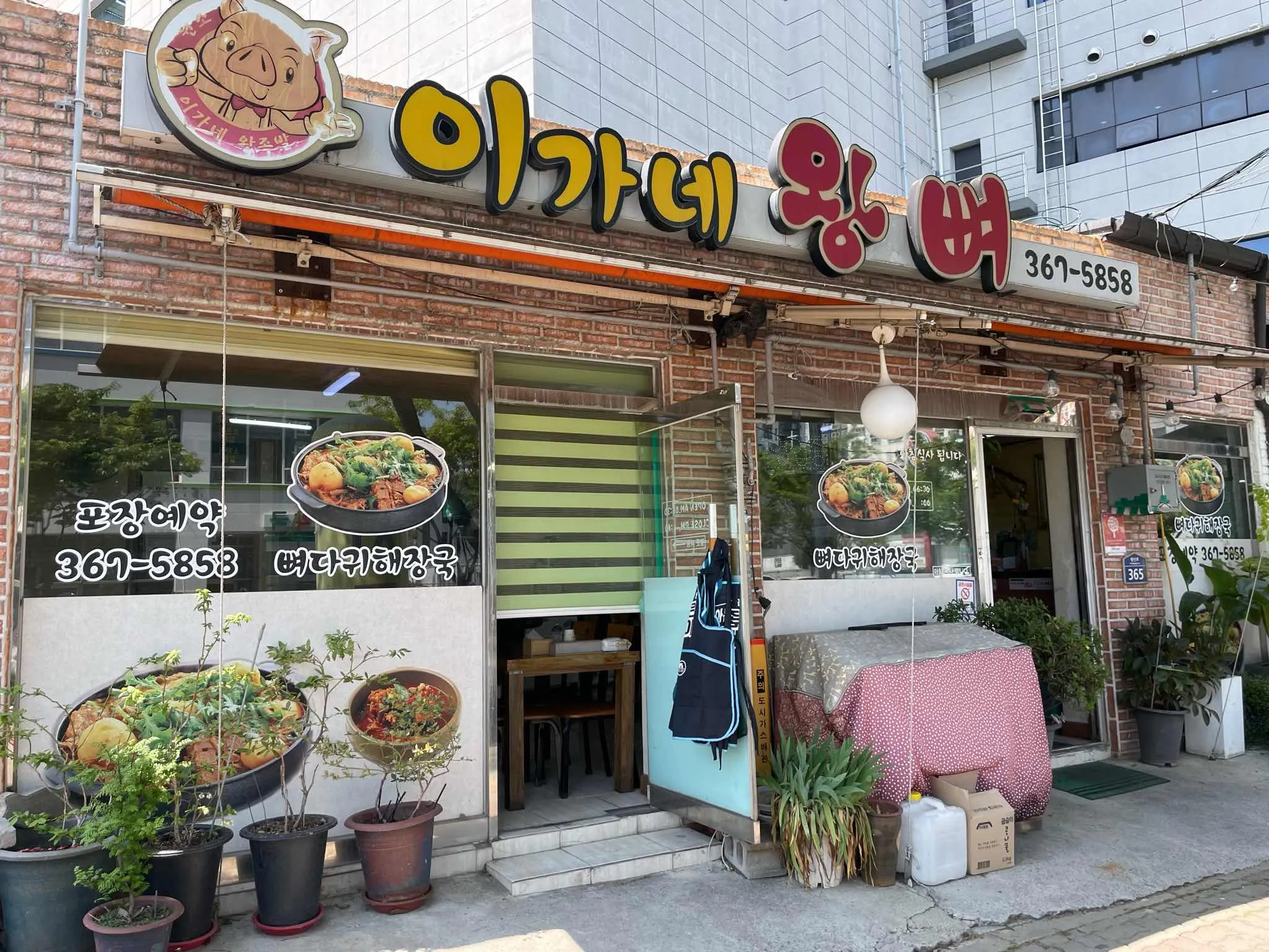 대표 사진 1