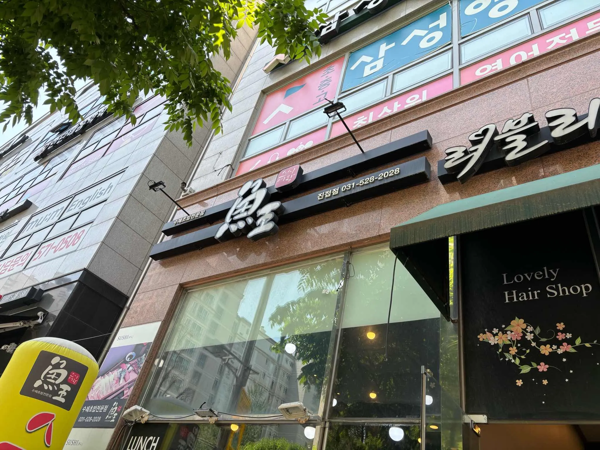 대표 사진 1