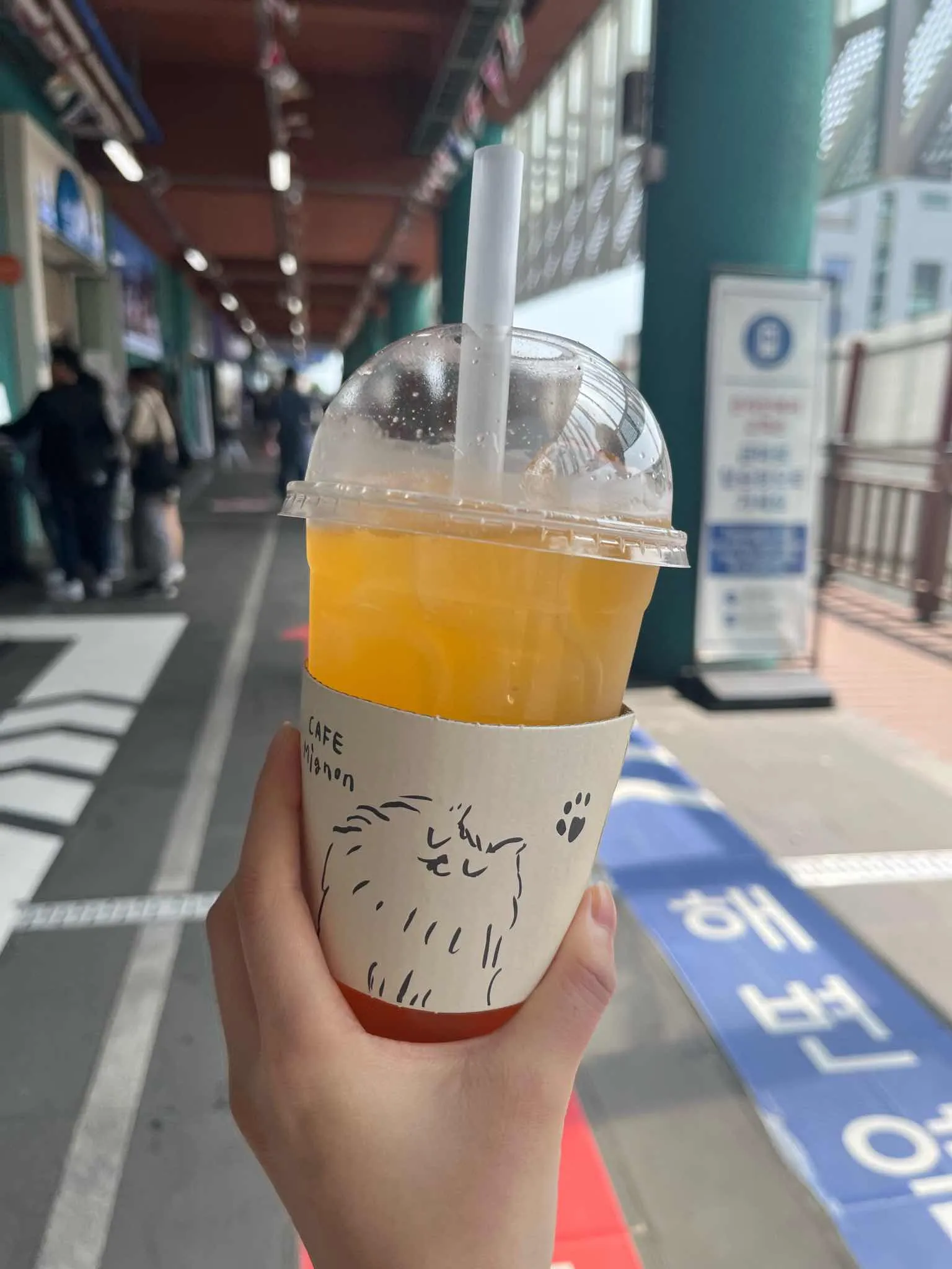 대표 사진 1