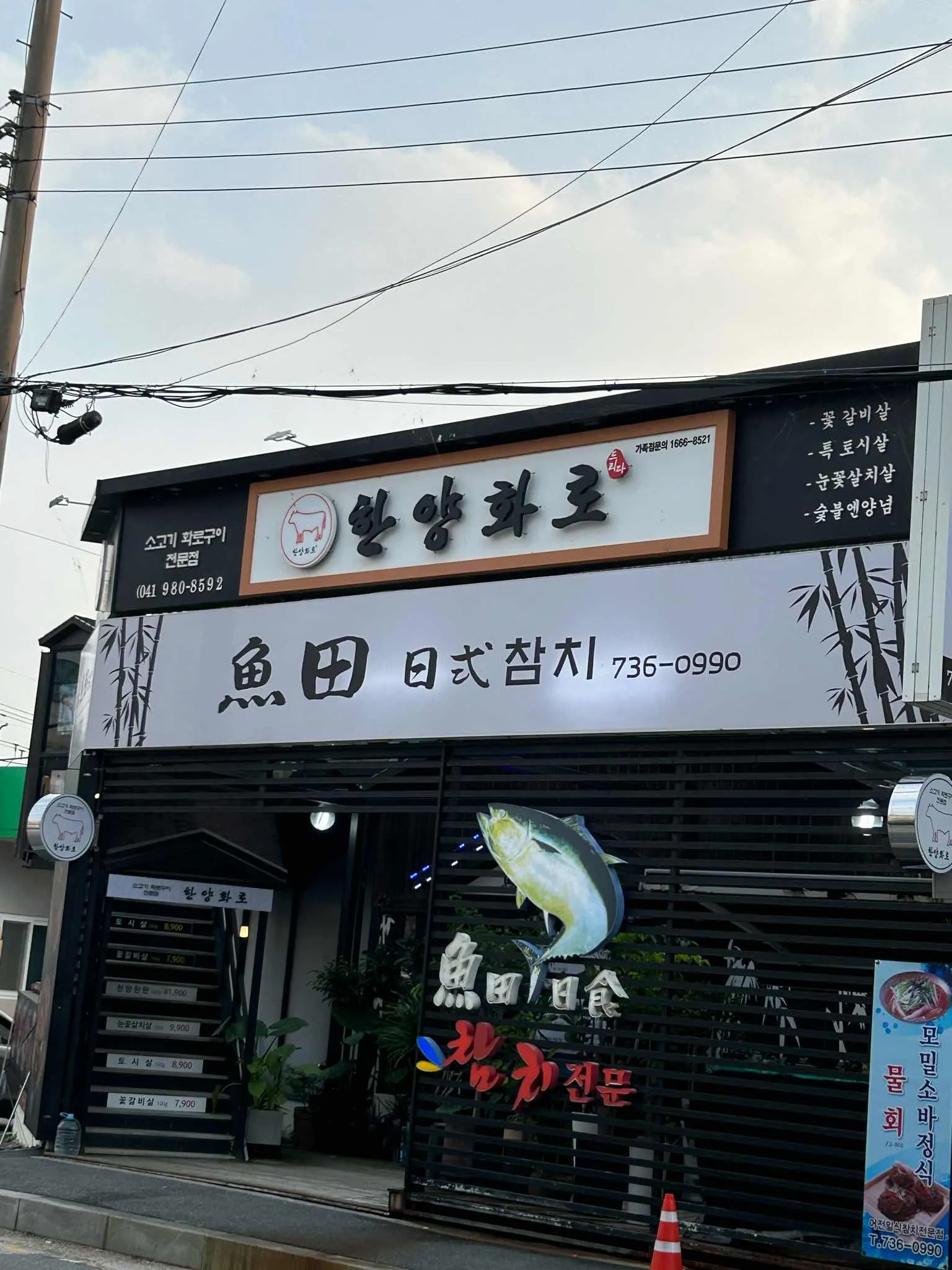 대표 사진 1