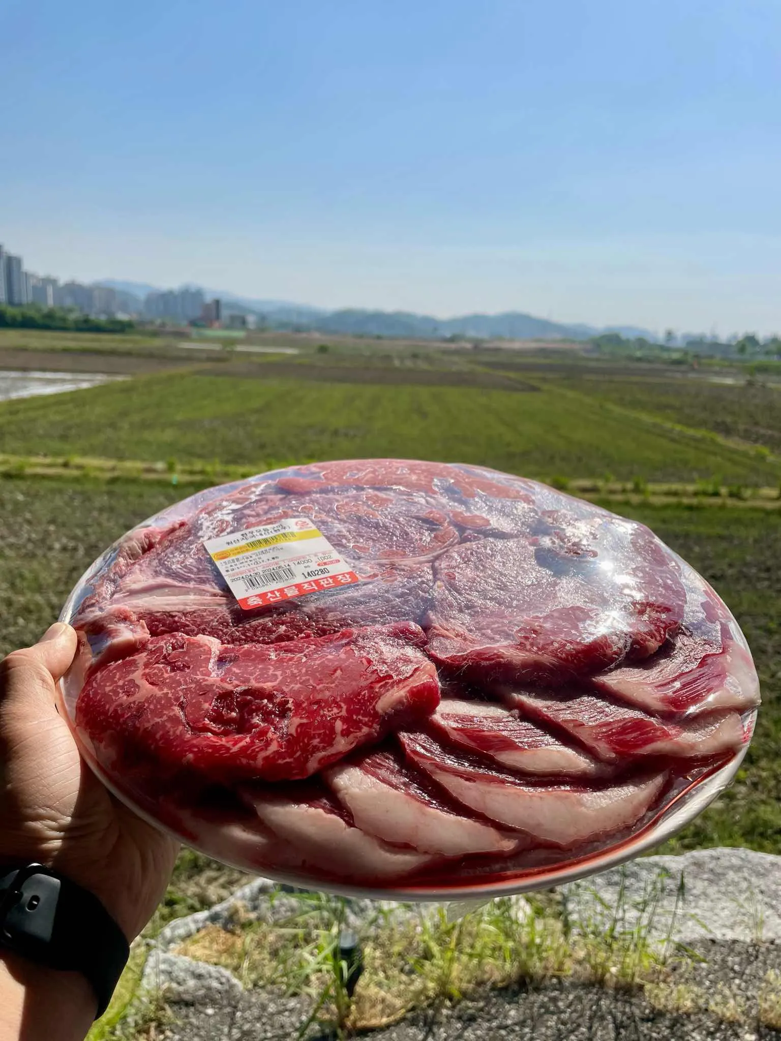 대표 사진 0