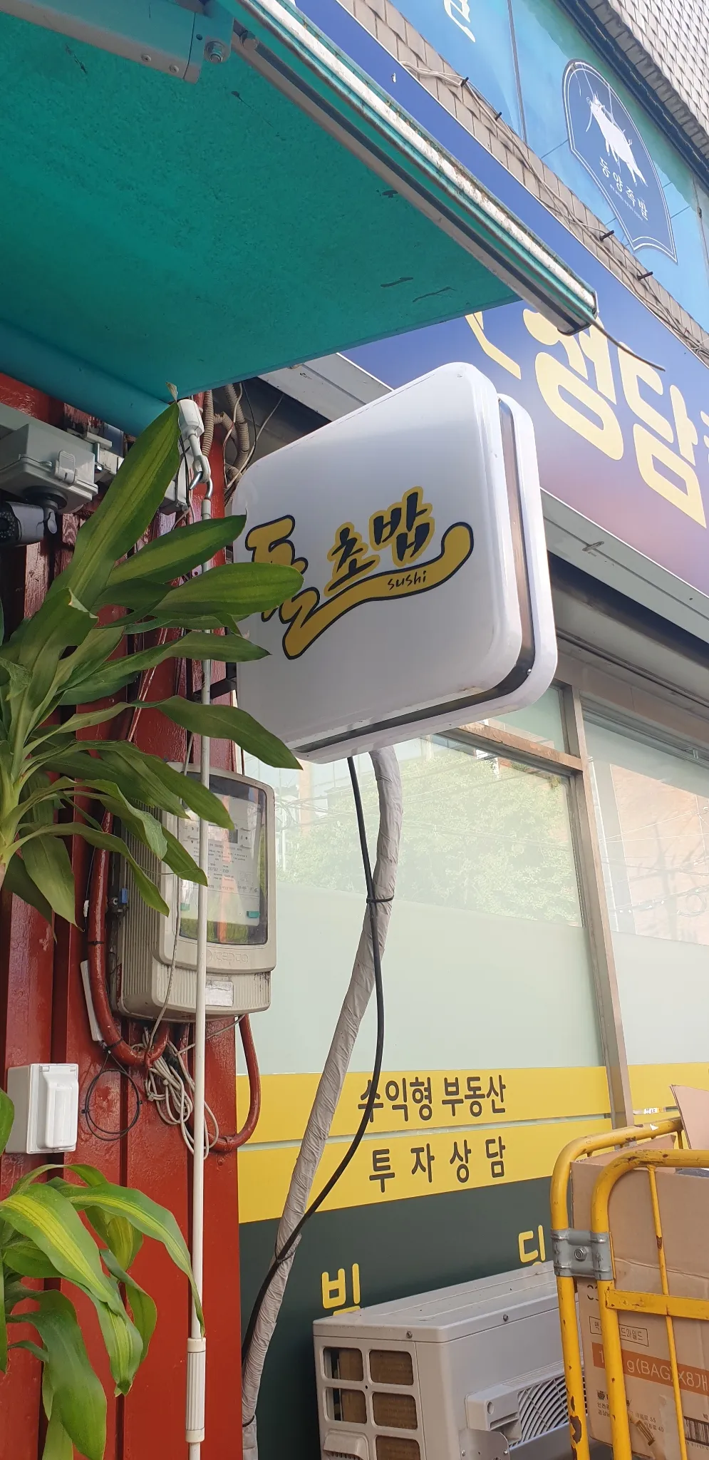 대표 사진 1