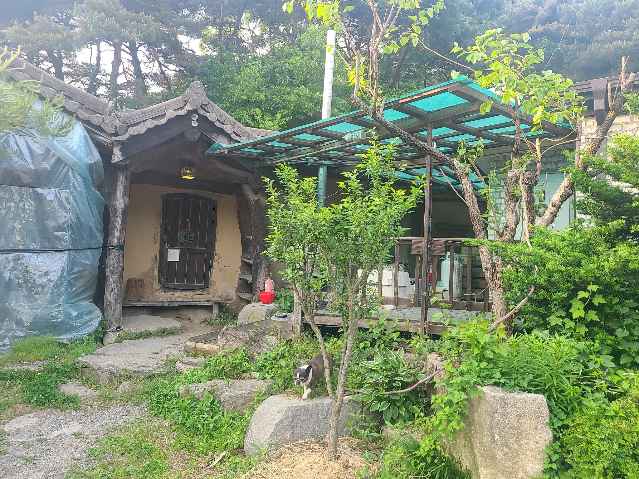 대표 사진 2