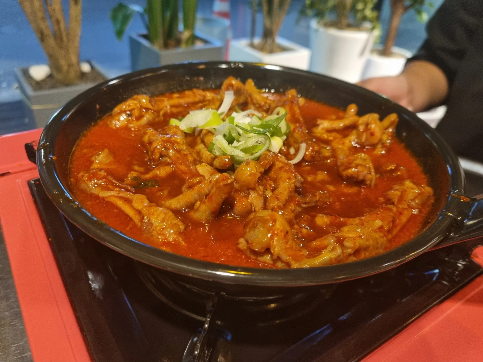 대표 사진 0