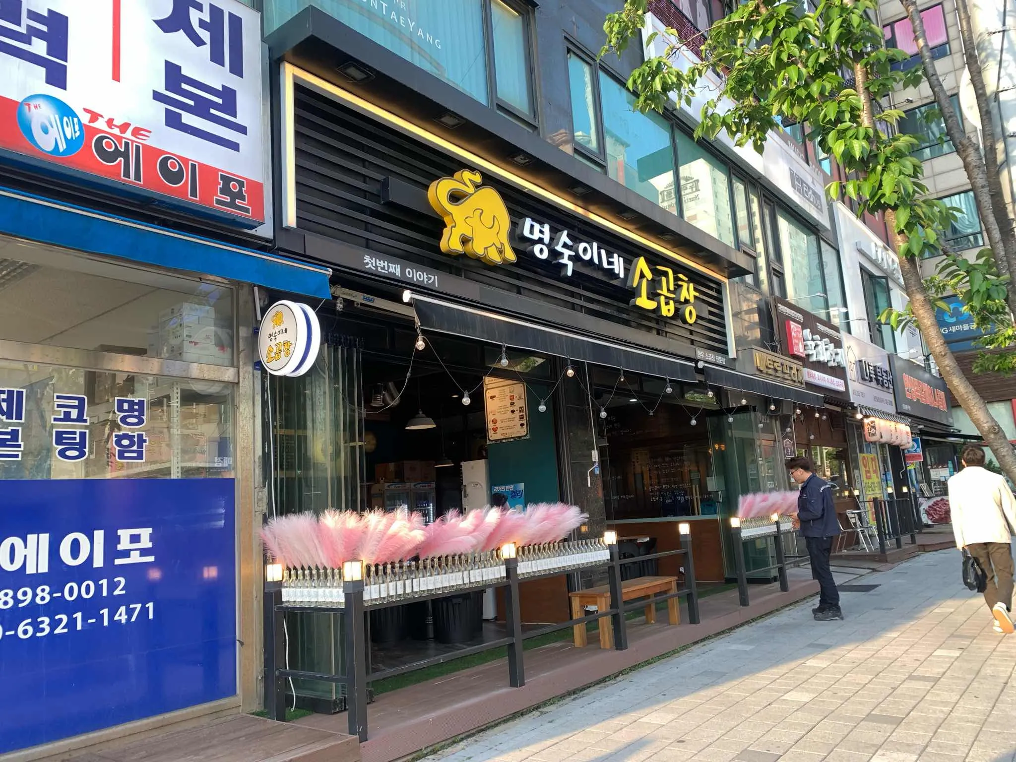 대표 사진 2
