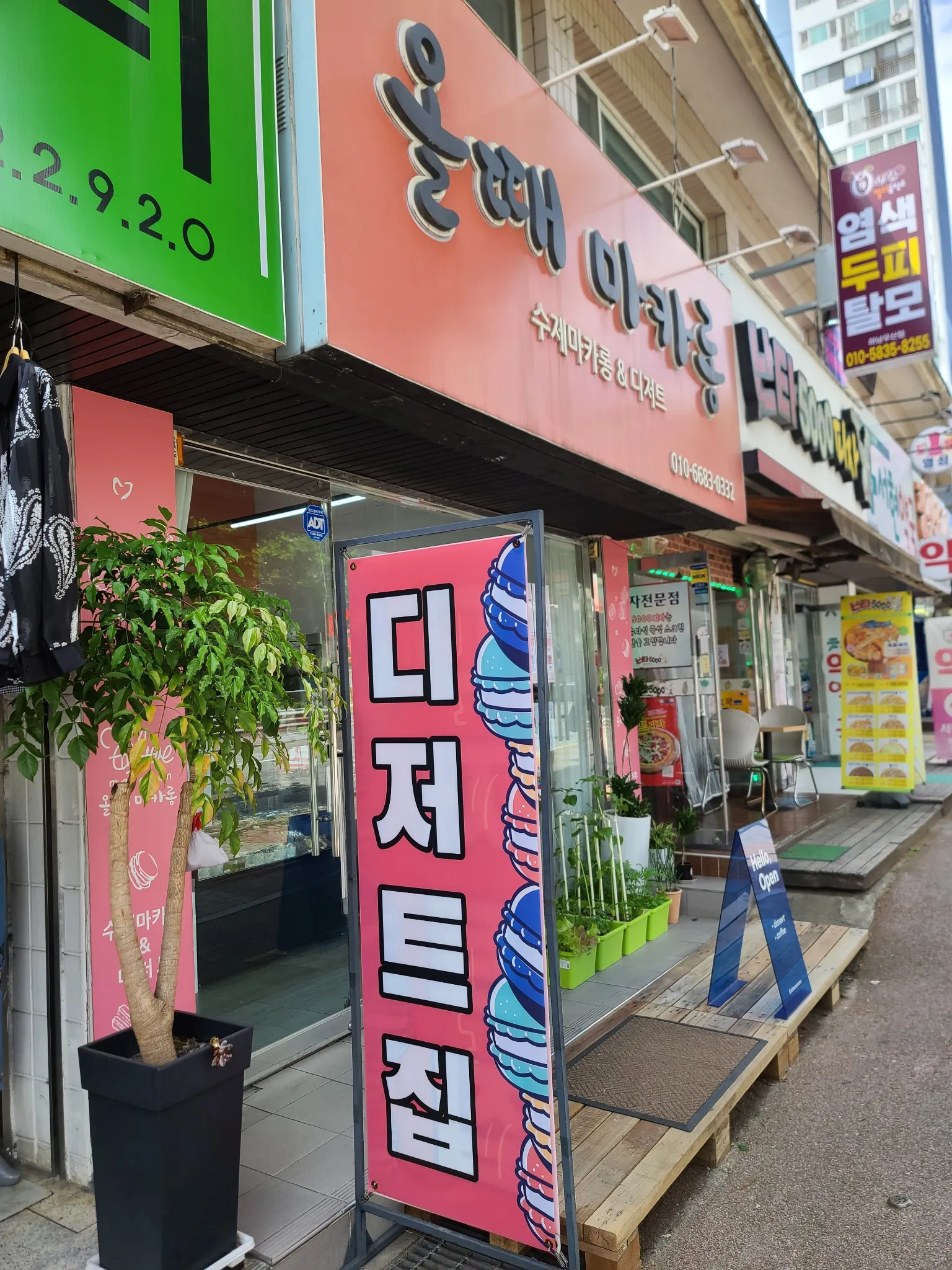 대표 사진 0