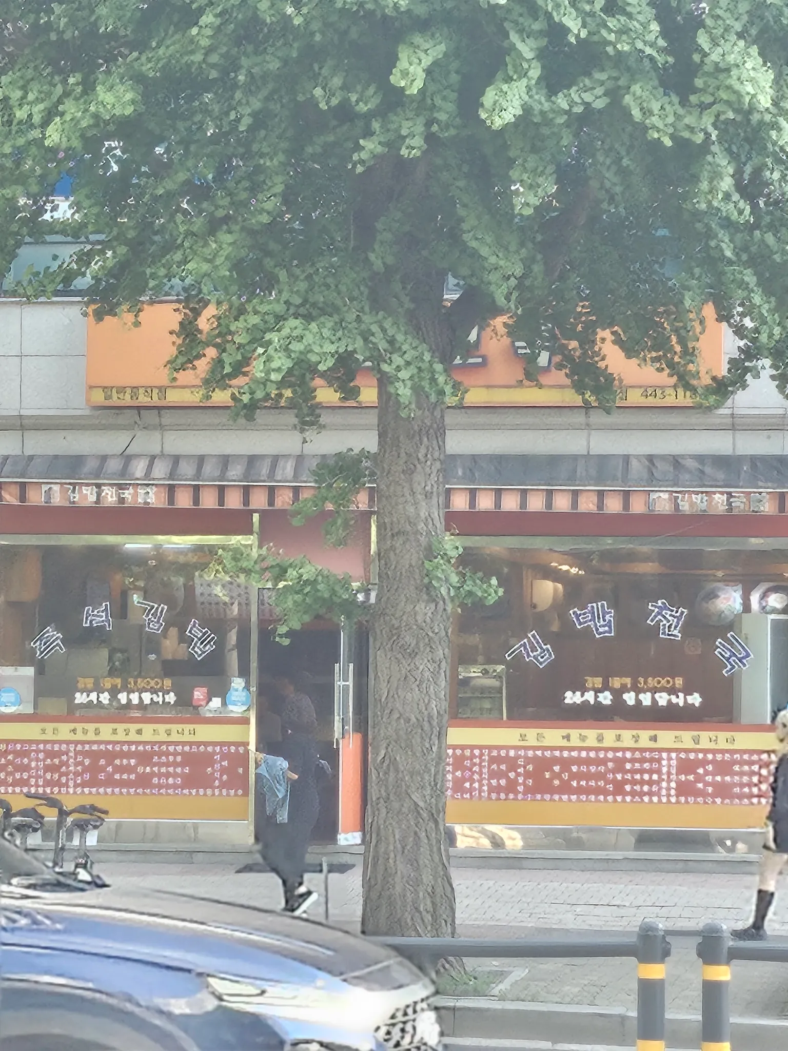 대표 사진 2