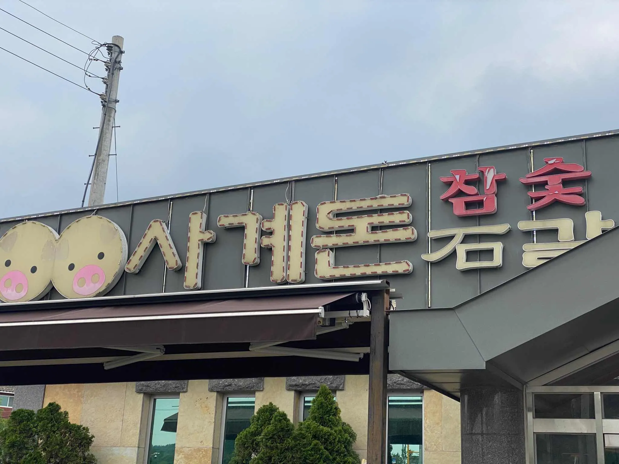 대표 사진 0
