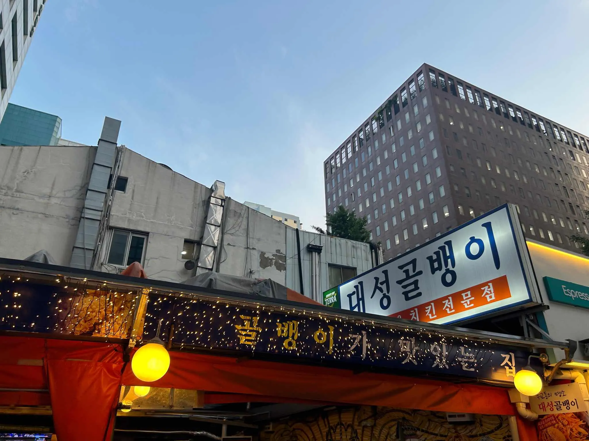대표 사진 1