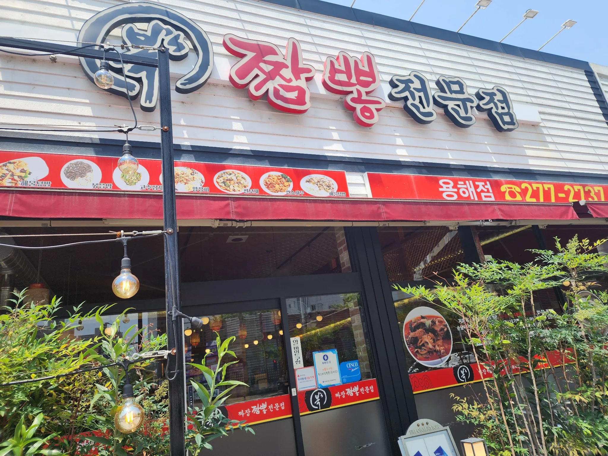 대표 사진 1