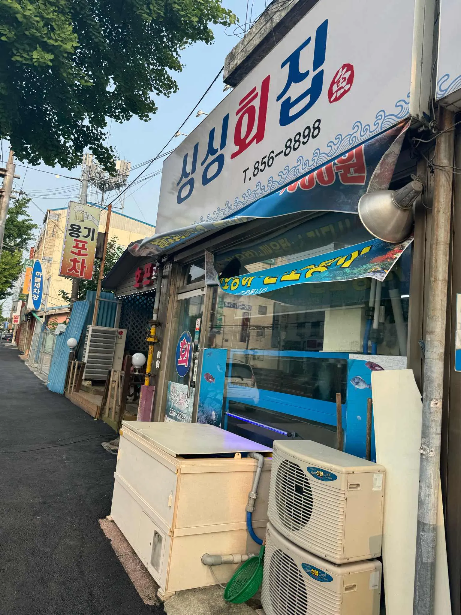 대표 사진 0