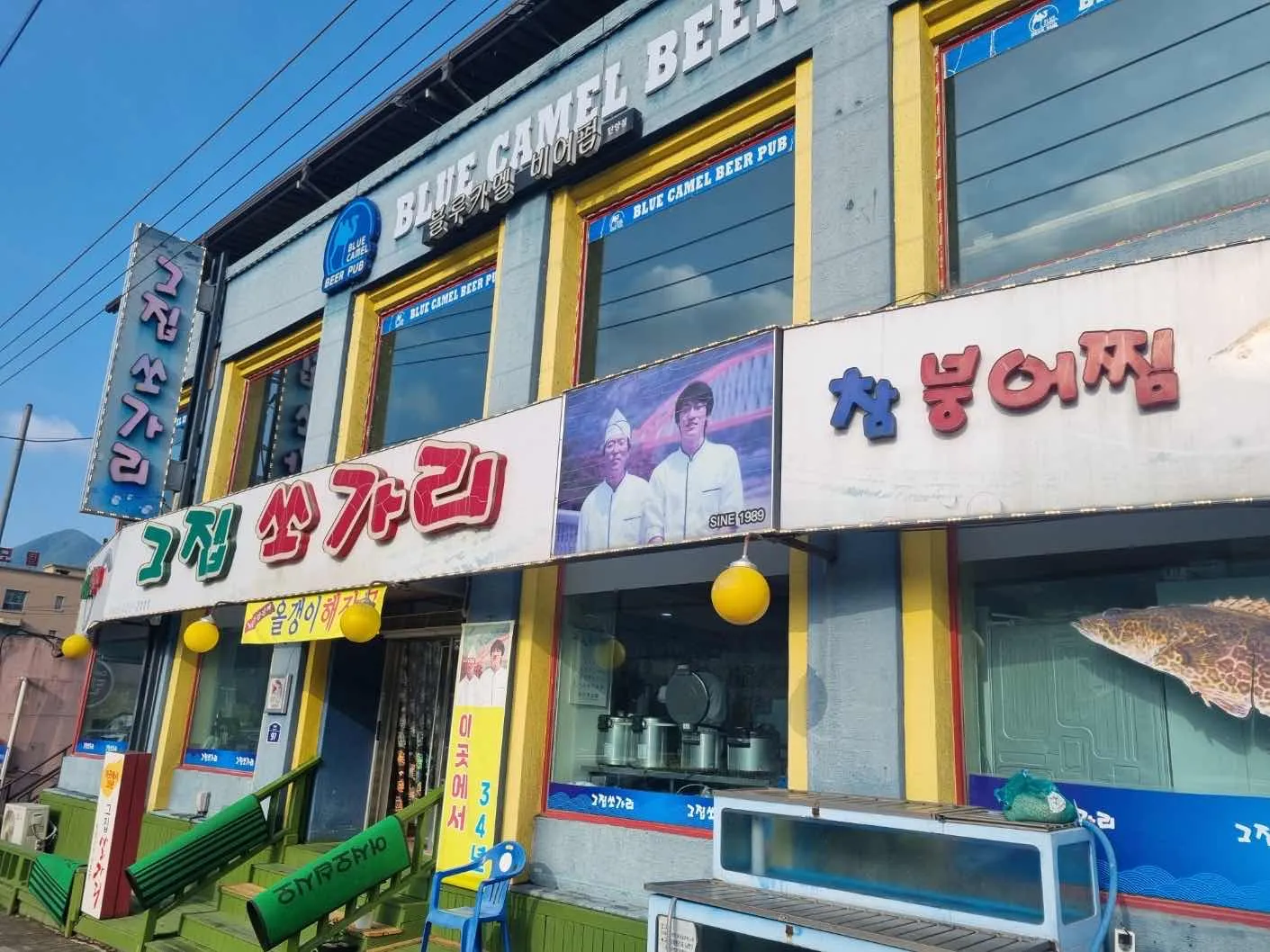 대표 사진 0