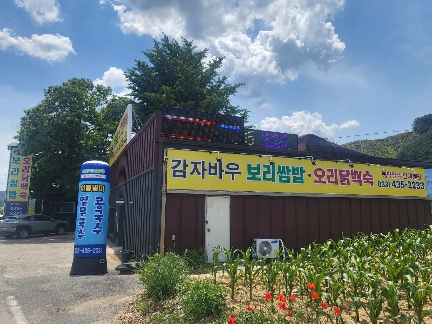 대표 사진 1