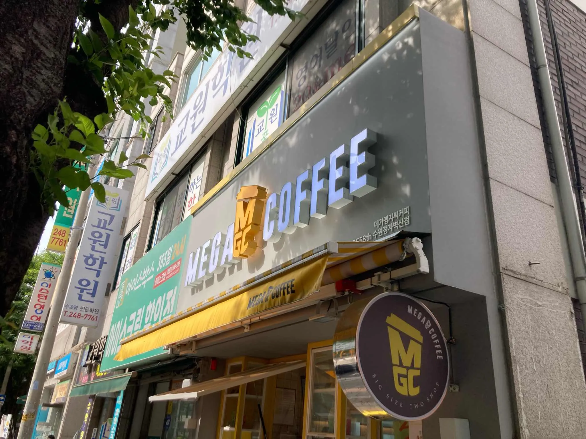 대표 사진 0