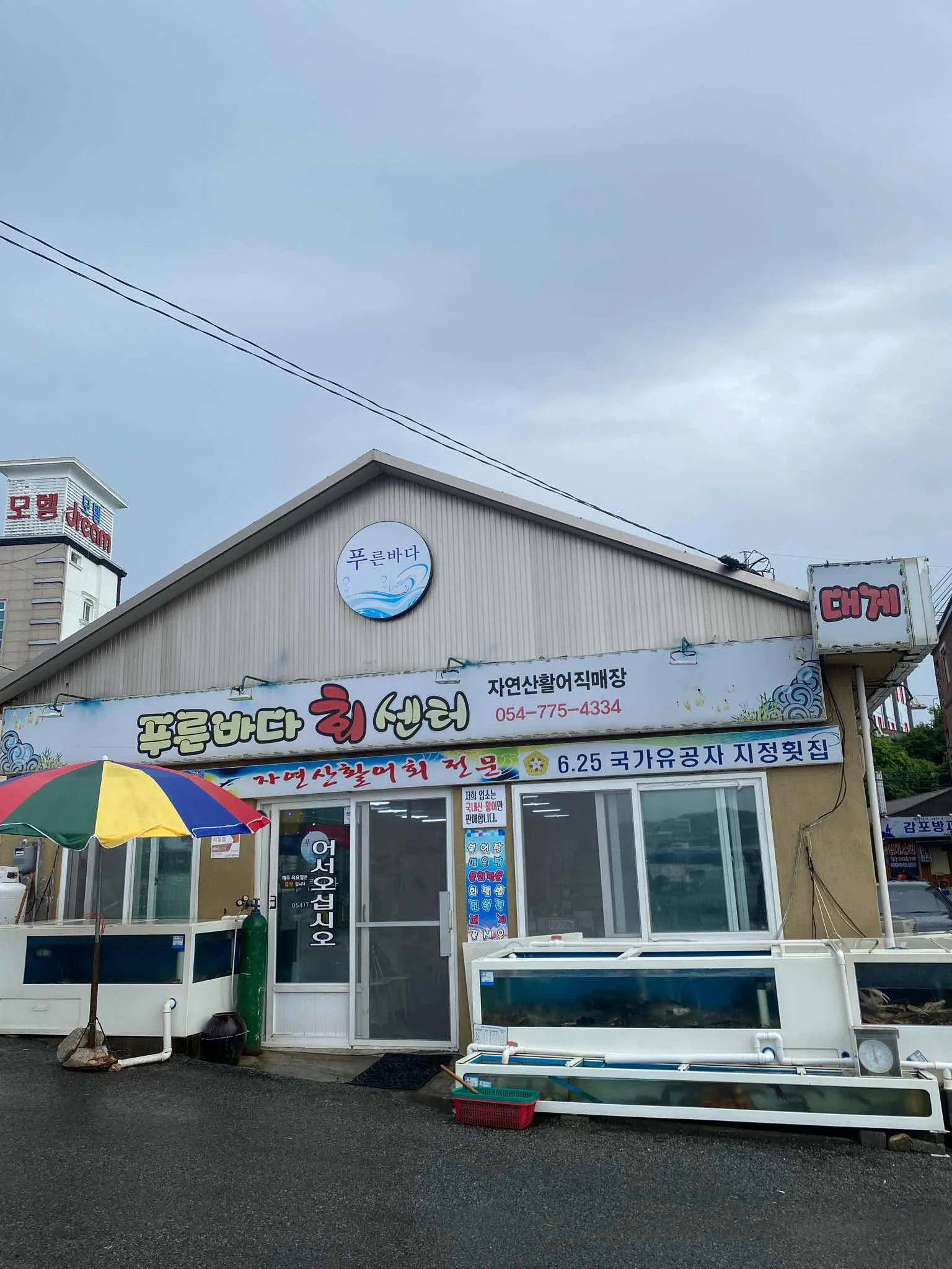 대표 사진 0
