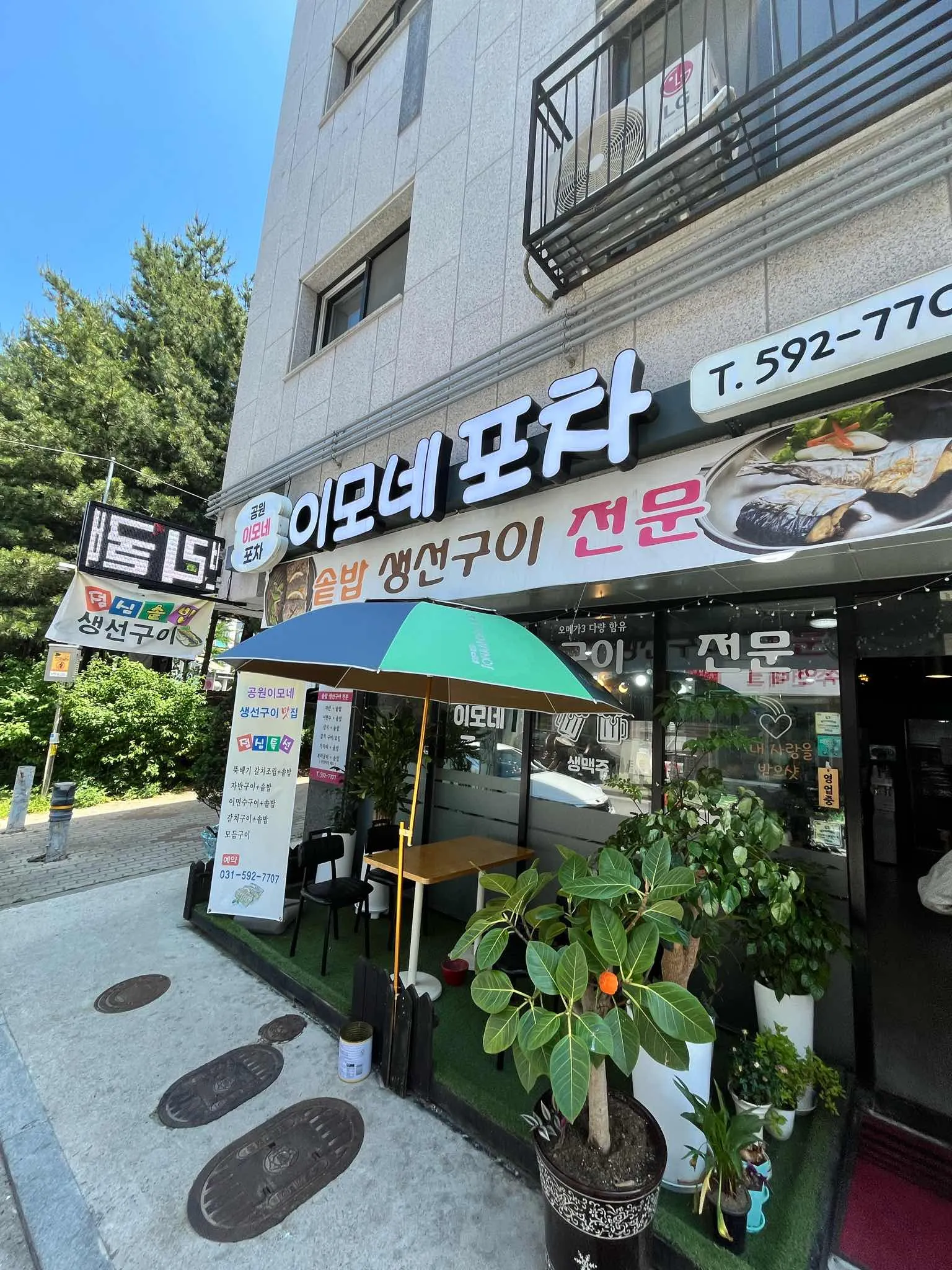 대표 사진 0