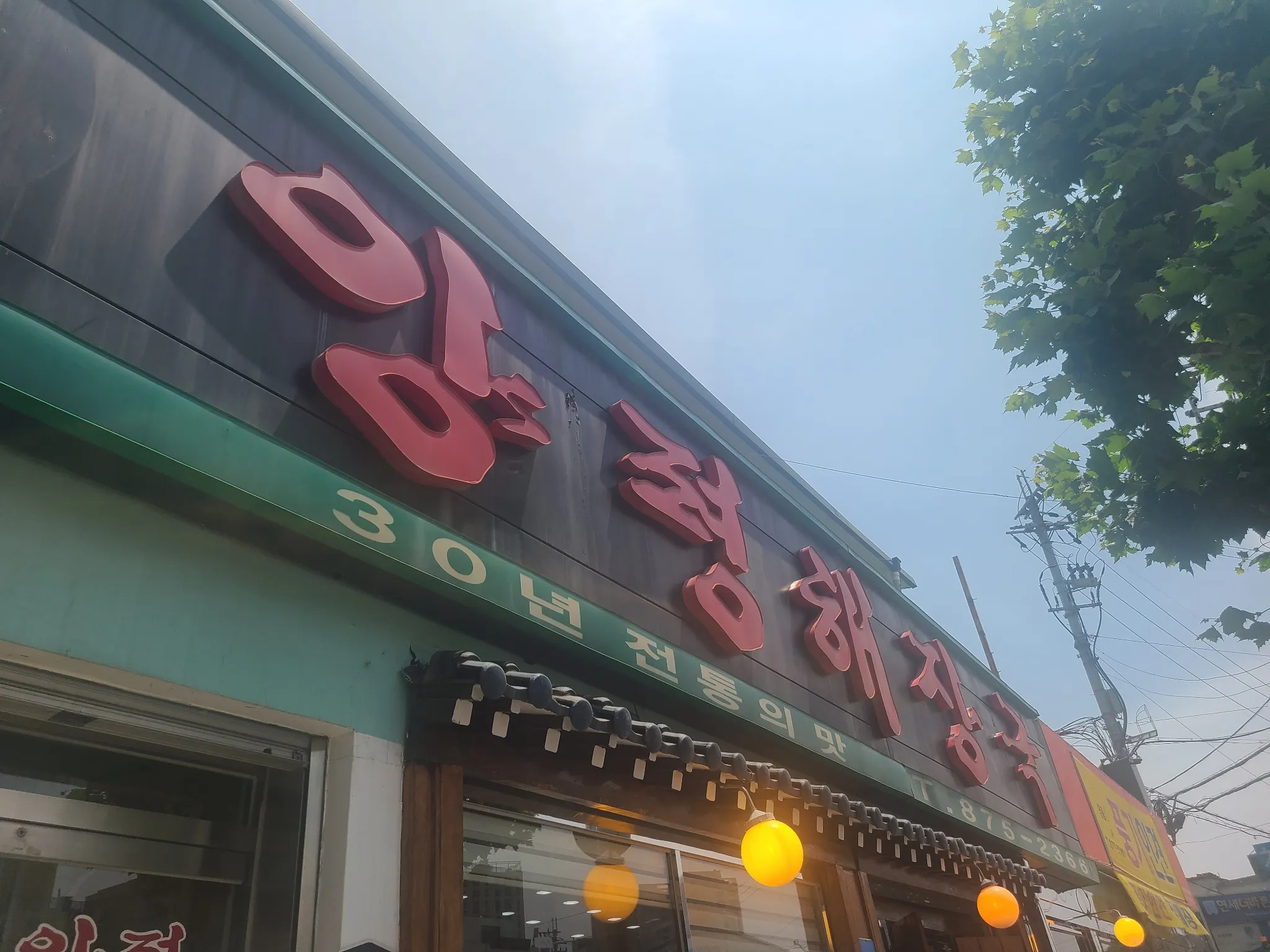 대표 사진 0