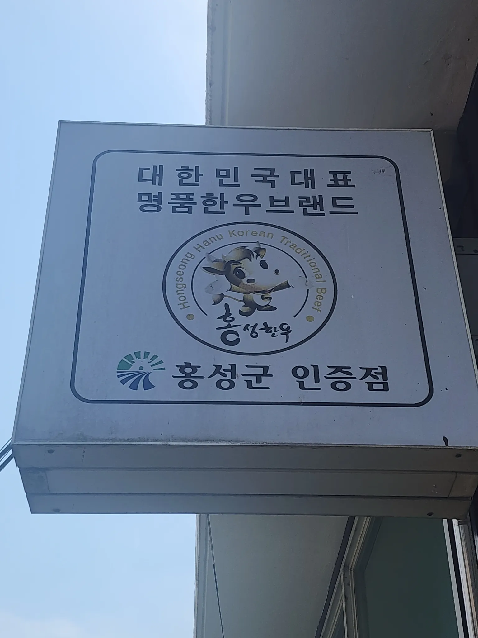대표 사진 4